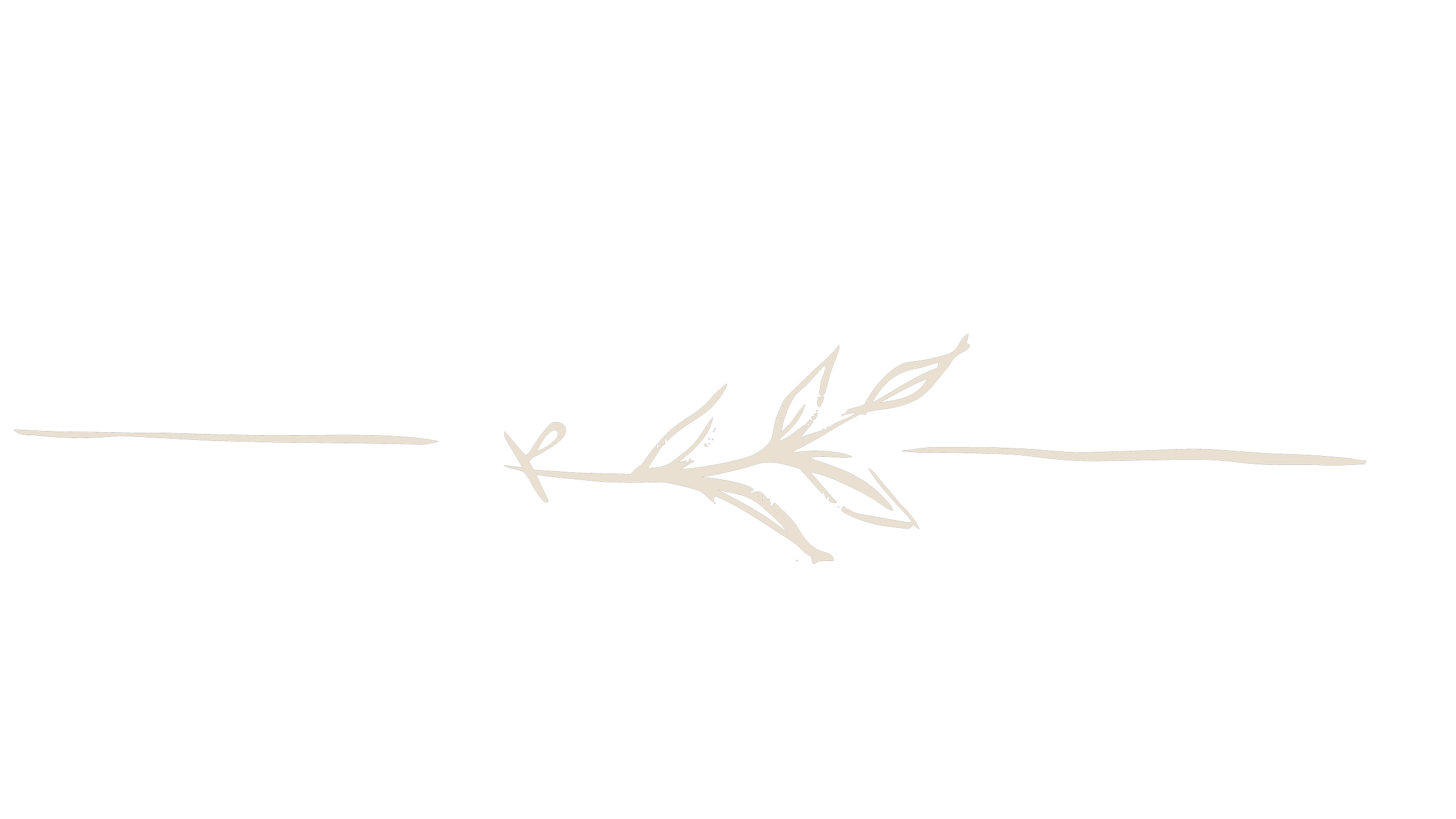 A black background with a simple white line drawing of a leafy branch extending horizontally.
