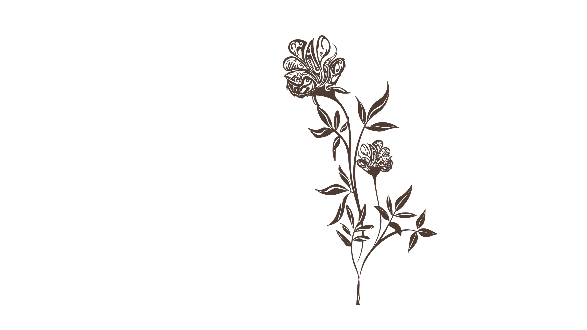 A stylized, brown floral illustration on a black background, featuring a tall, curved stem with detailed flowers and leaves.