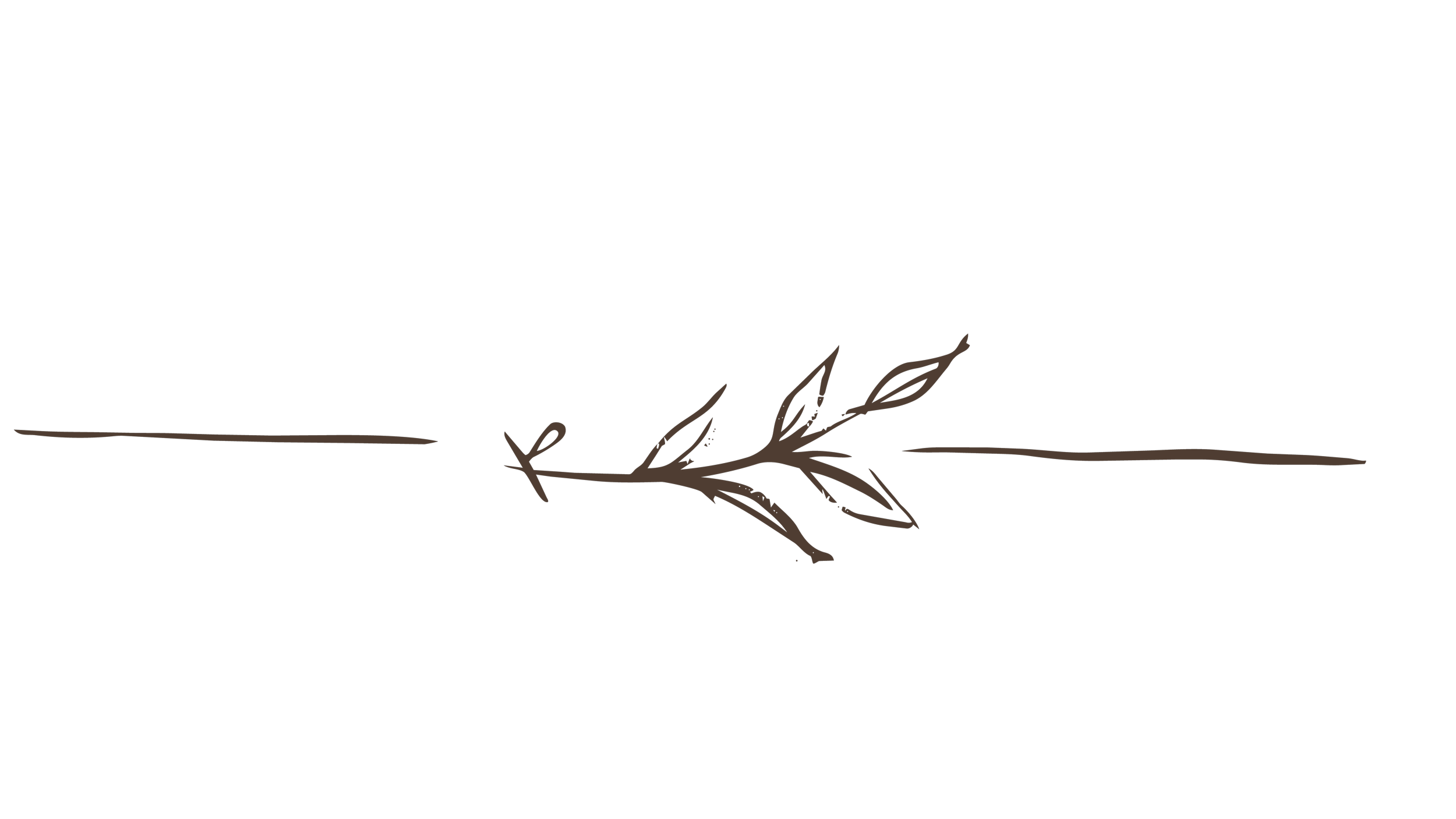 Minimalist hand-drawn botanical brown branch illustration created as a decorative botanical motif for Driftzen Studio surface patterns and website branding