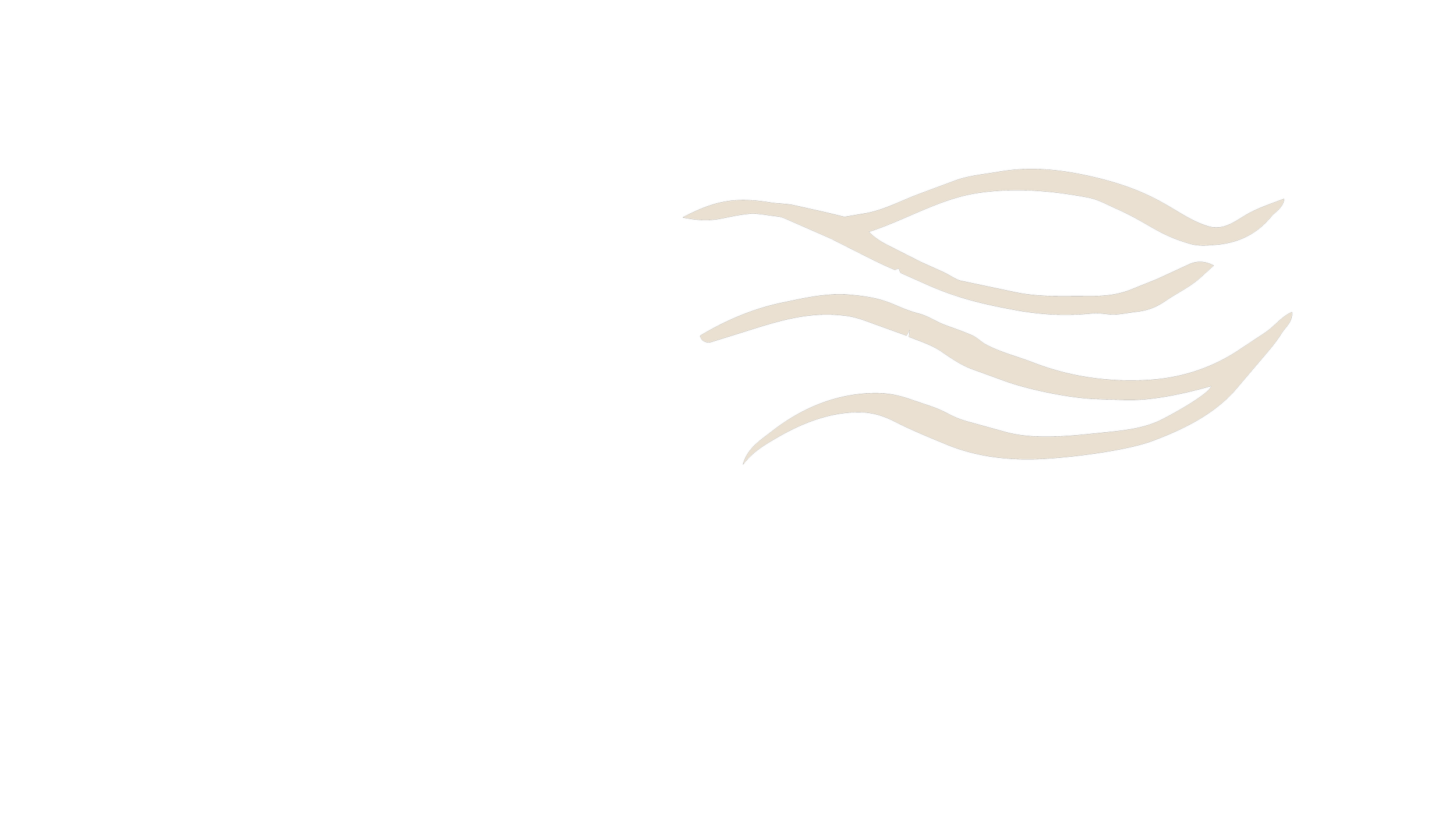 Black background with white abstract wave design.