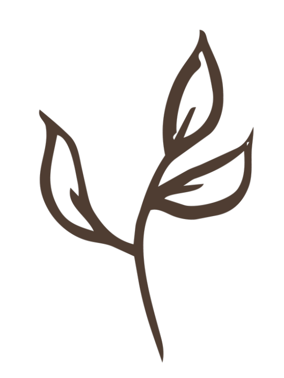 A simple black line drawing of a plant with three leaves on a black background.