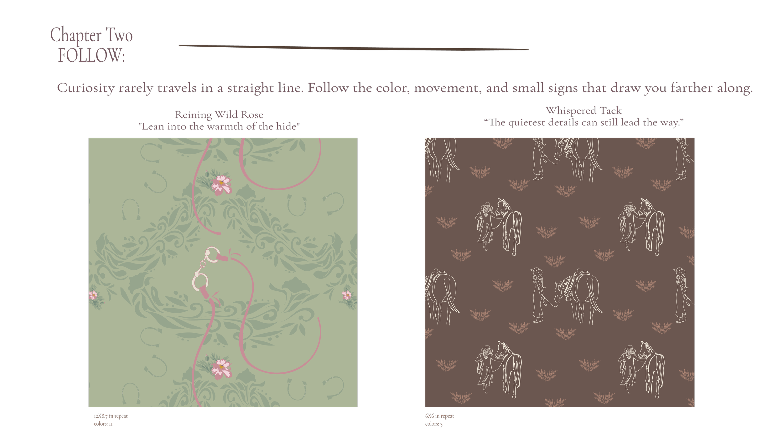 Follow — second panel of Trailside Lace by Driftzen Studio, illustrating the creative journey from Montana trailside observation to surface pattern design Botanical and western