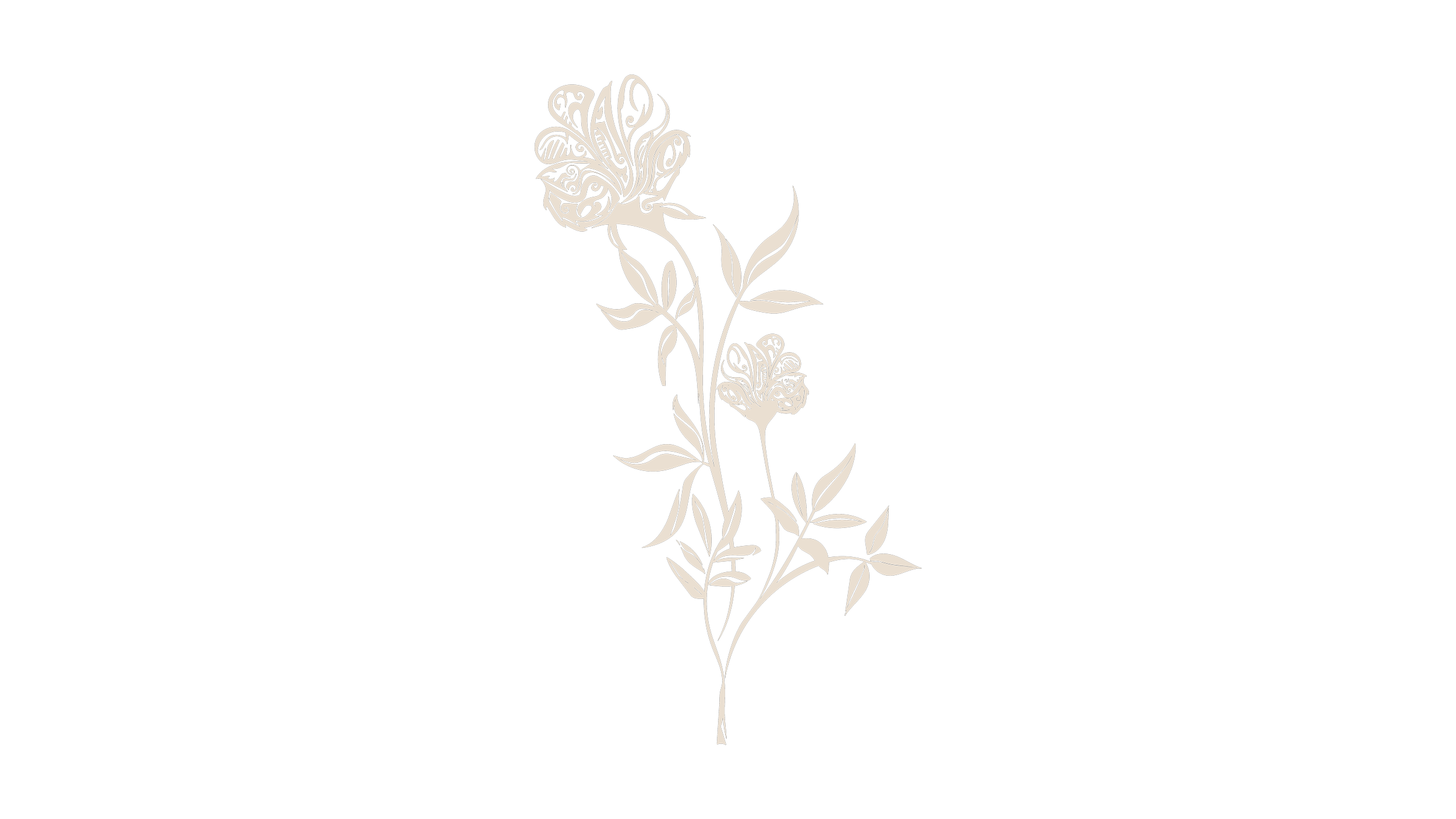 A floral illustration of a rose with intricate, decorative patterns inside the petals and leaves, set against a black background.