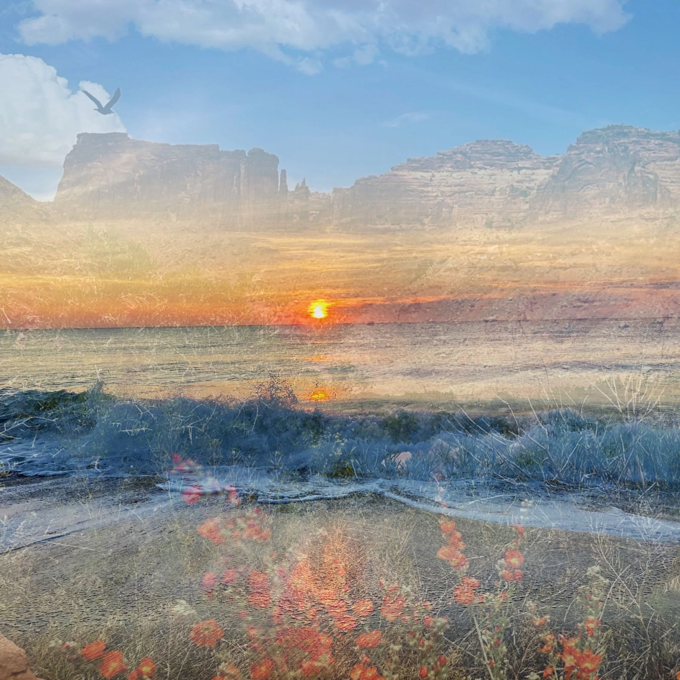 Layered photo that blends red rocks and orange spring flowers in Utah with blue waves and sunrise on East Coast. of Utah and