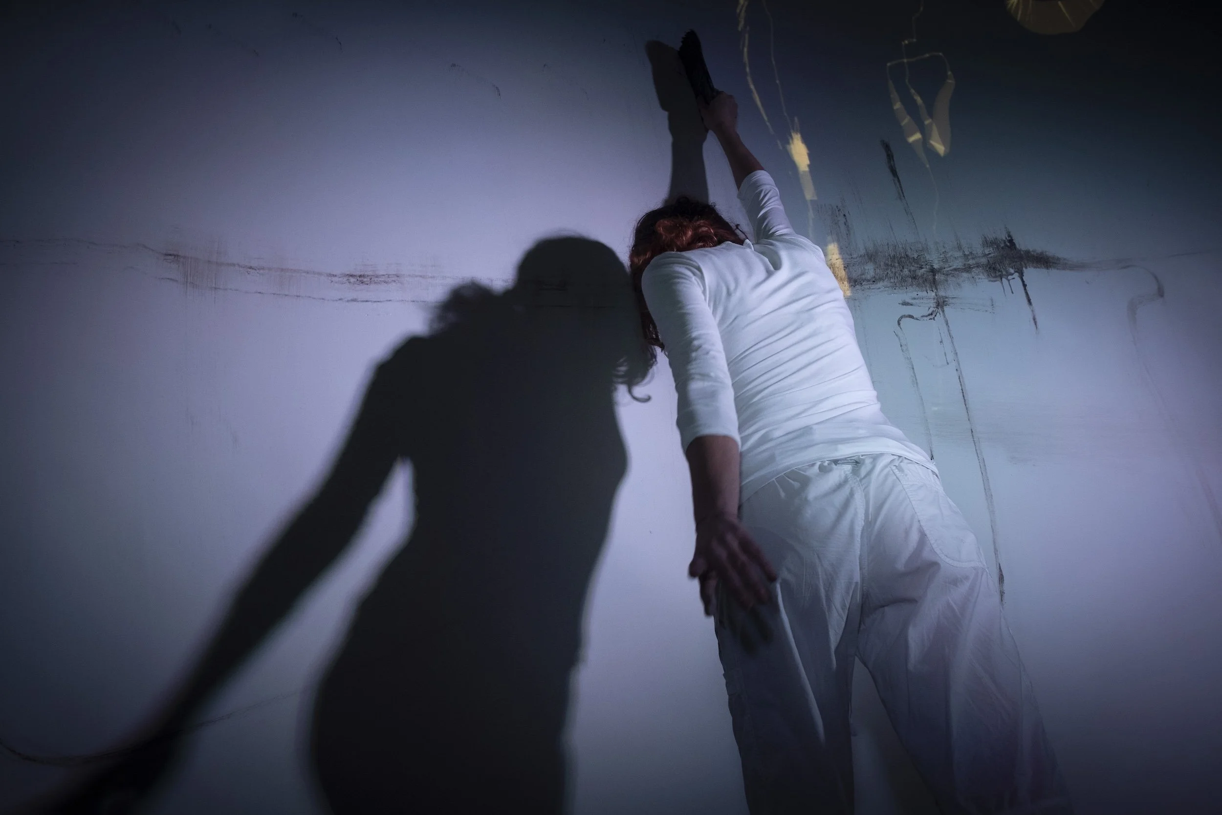 PERFORMANCE PAINTING