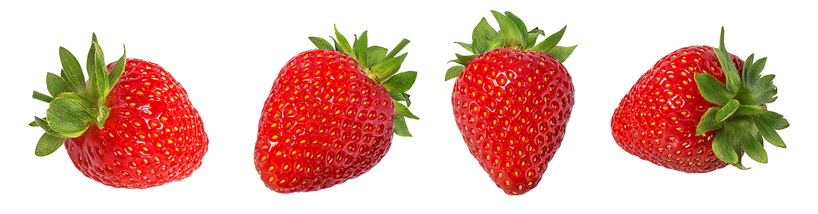 Four fresh strawberries with green leaves facing different directions.