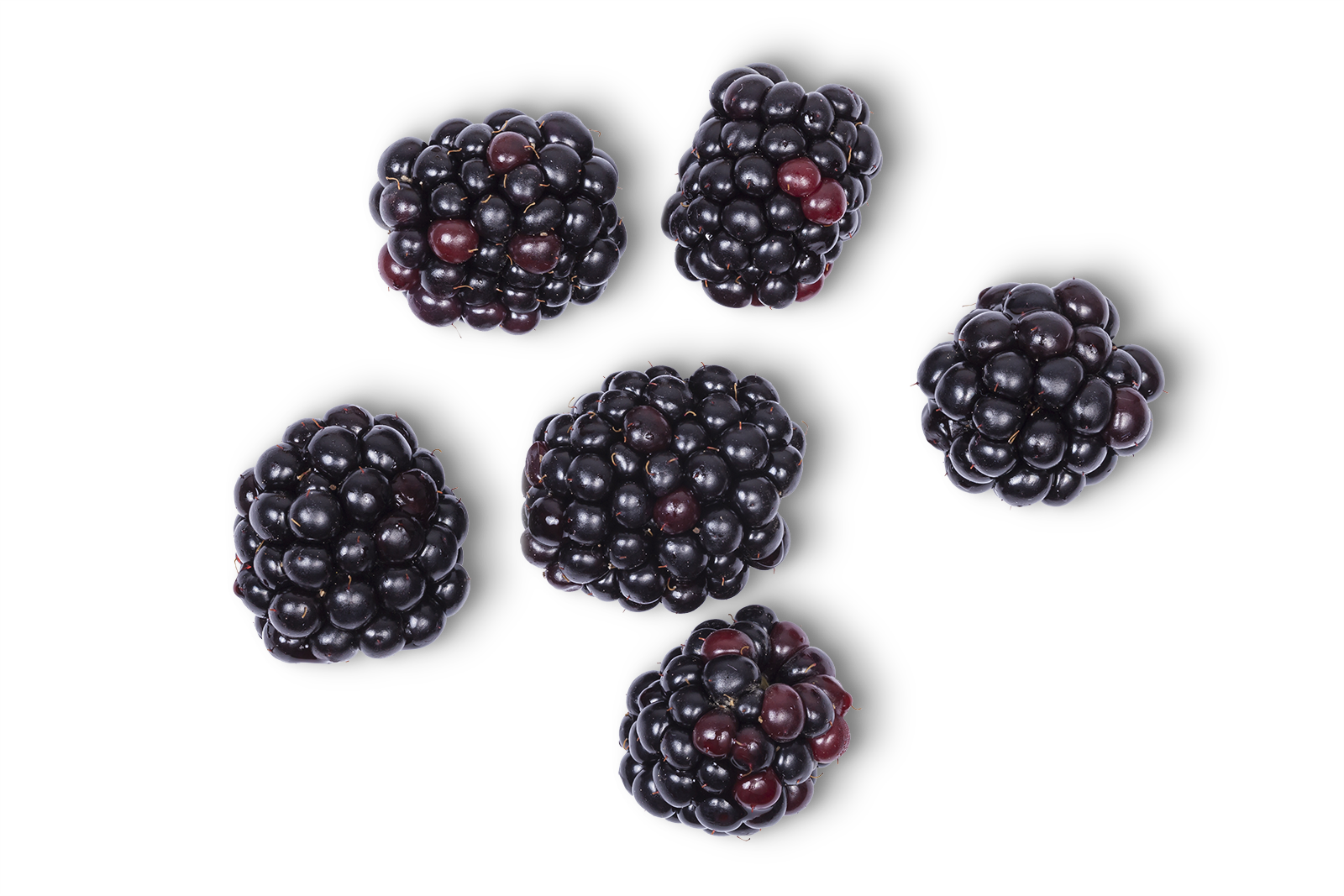 Multiple blackberries arranged on a reflective black surface with a light gray background.