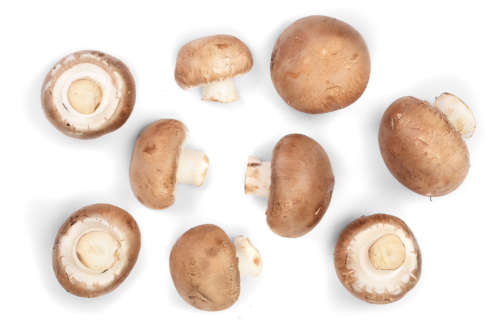 Several brown mushrooms with white stems against a black background, some whole and some cut in half.