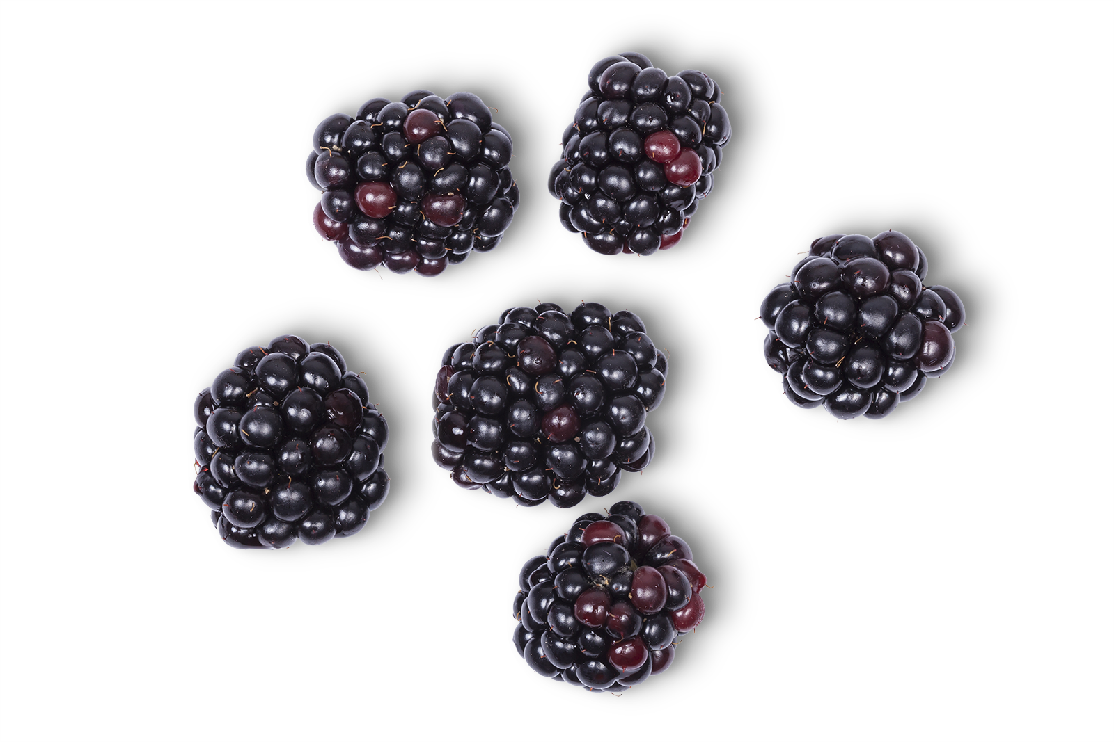 Multiple blackberries floating on a reflective surface with a black and white background.
