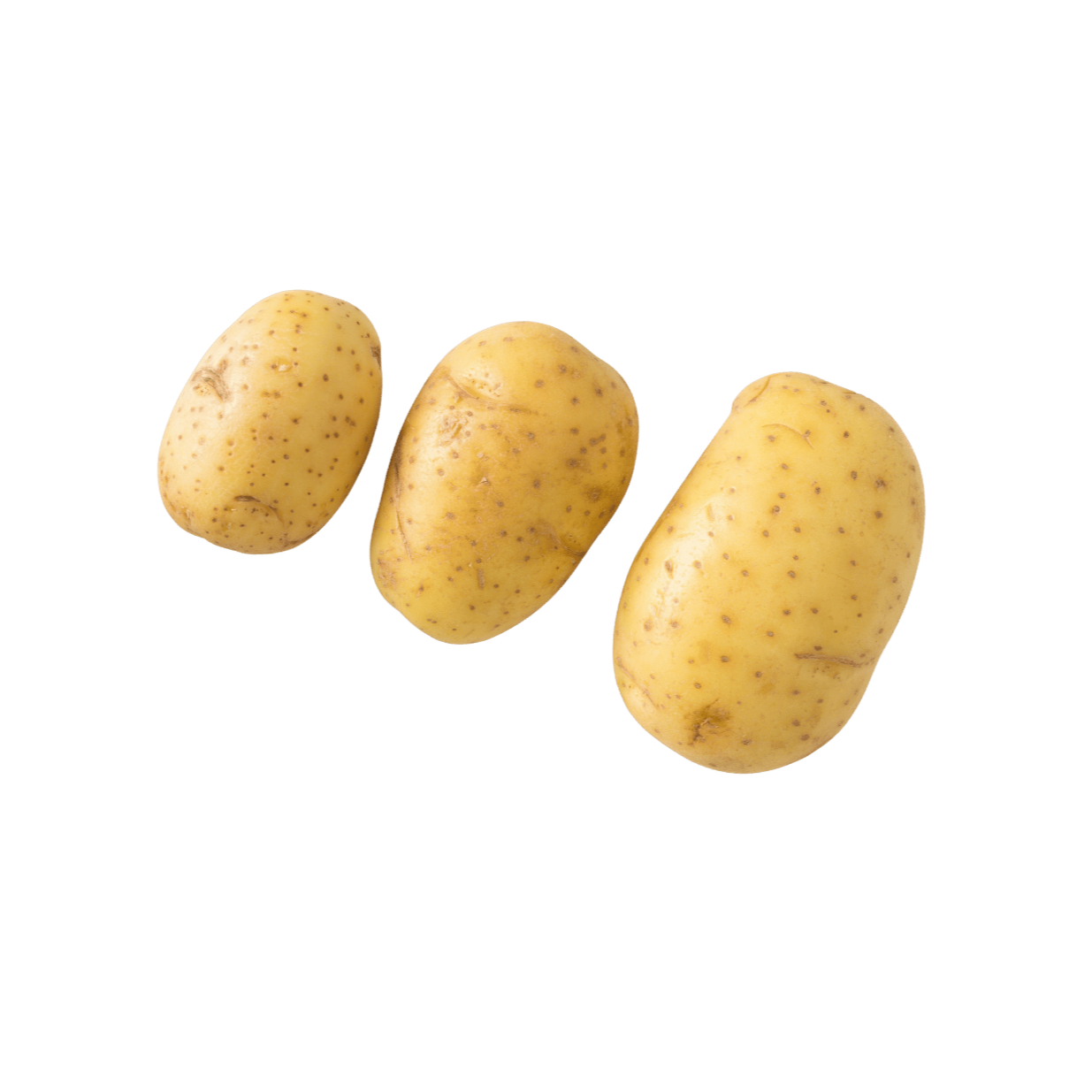 Three raw potatoes with light brown skin and small dark spots, positioned against a transparent background.