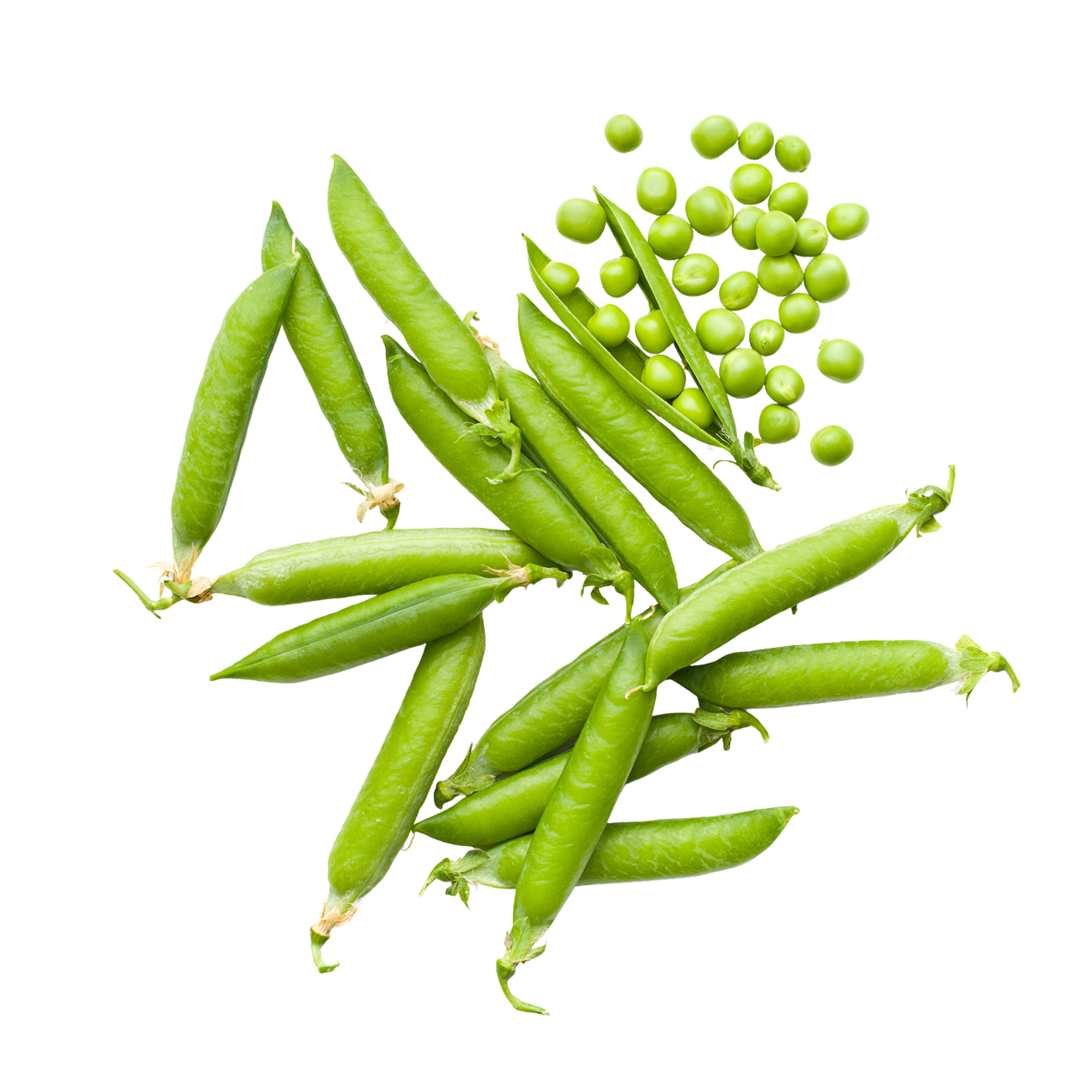 Fresh green sugar snap peas, some with pods open revealing peas inside, scattered on a white surface.