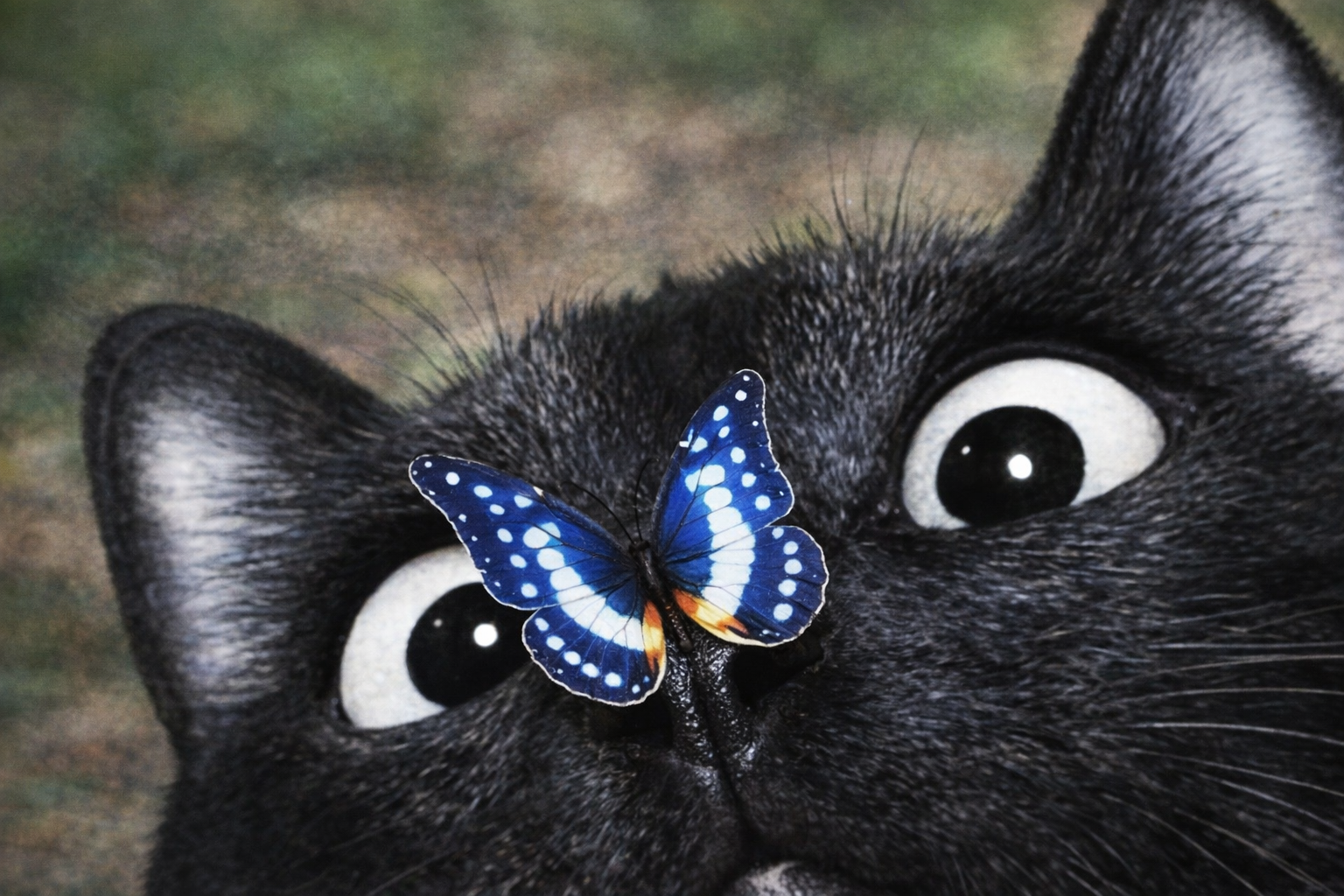 Cat and butterfly sc.png