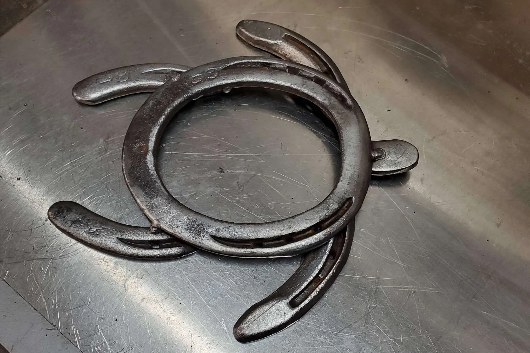 Metal horseshoe turtle on a stainless steel surface.