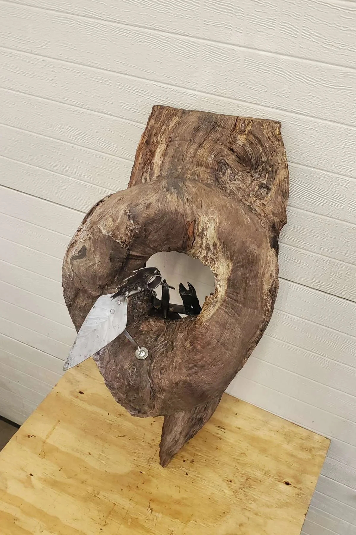 A large, rugged piece of driftwood with a circular hole in the center, mounted against a white paneled wall, with a metal sculpture of a woodpecker inside the hole.