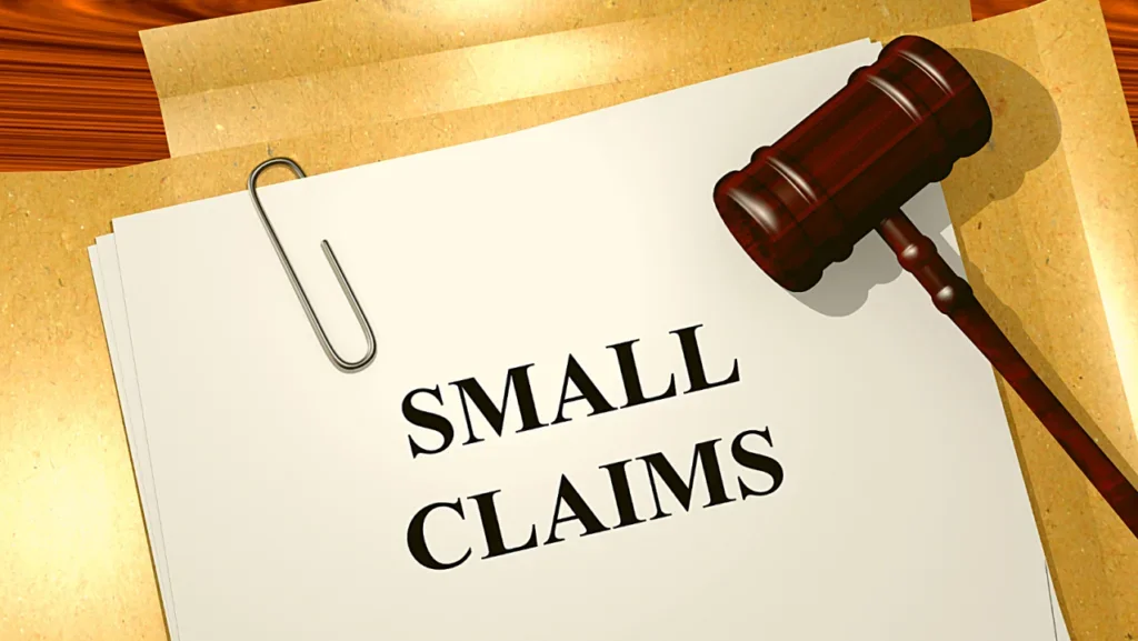 Small Claims Court Services