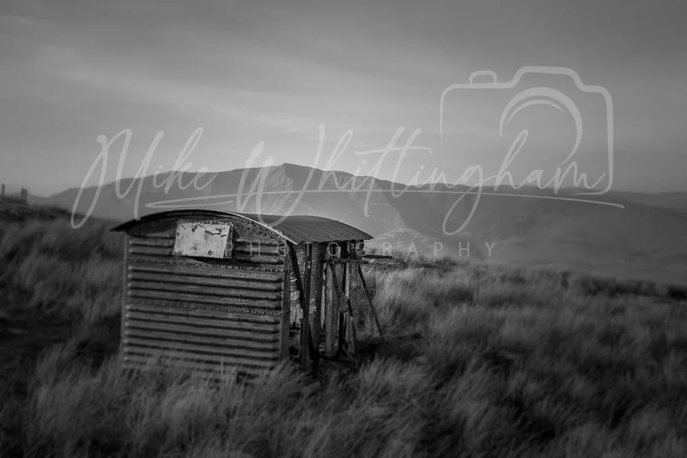 Rustic Mountain forgotten carriage
