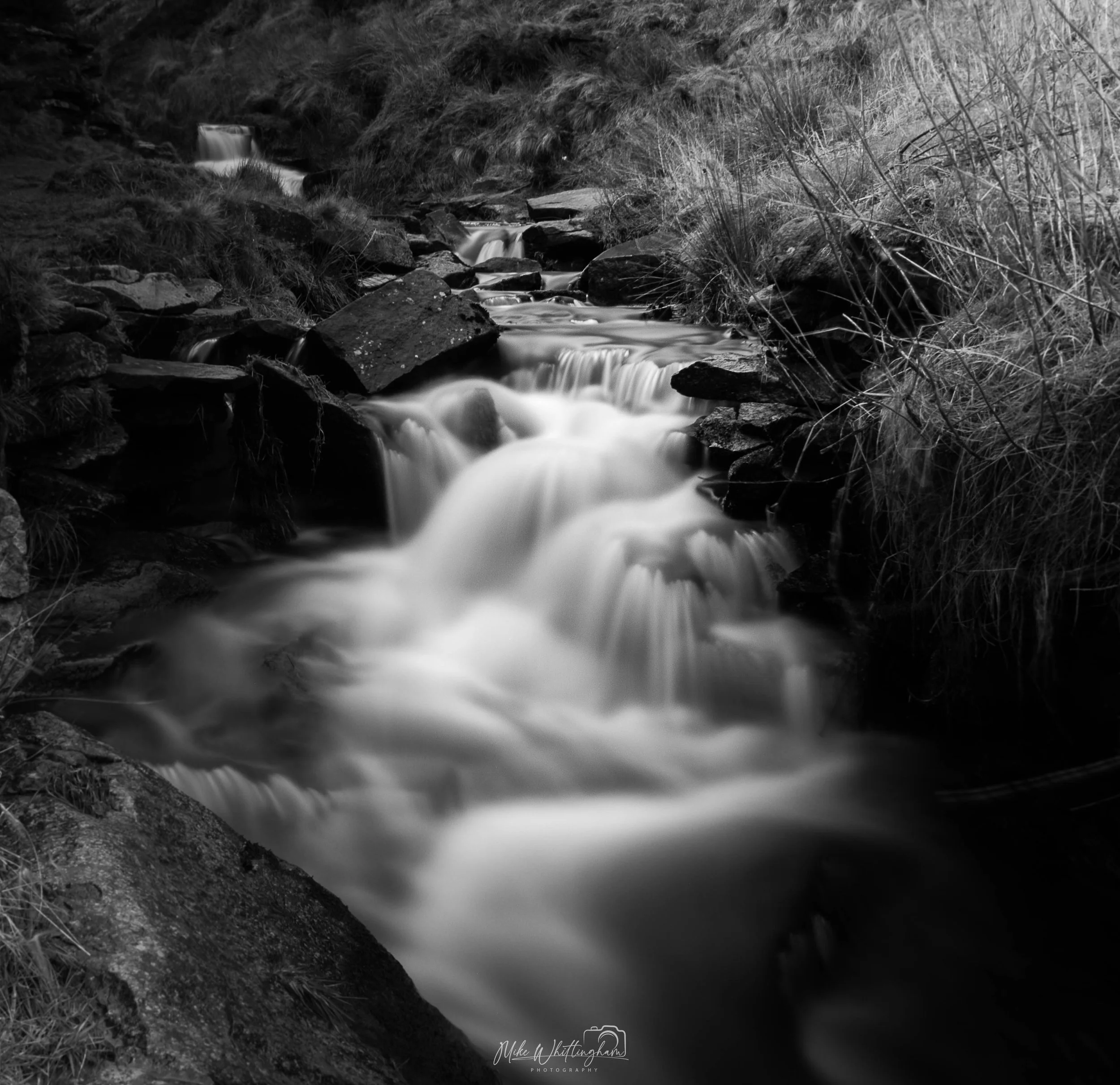 A black and white photograph of a small, cascading mountain stream flowing over rocks and through grassy banks.