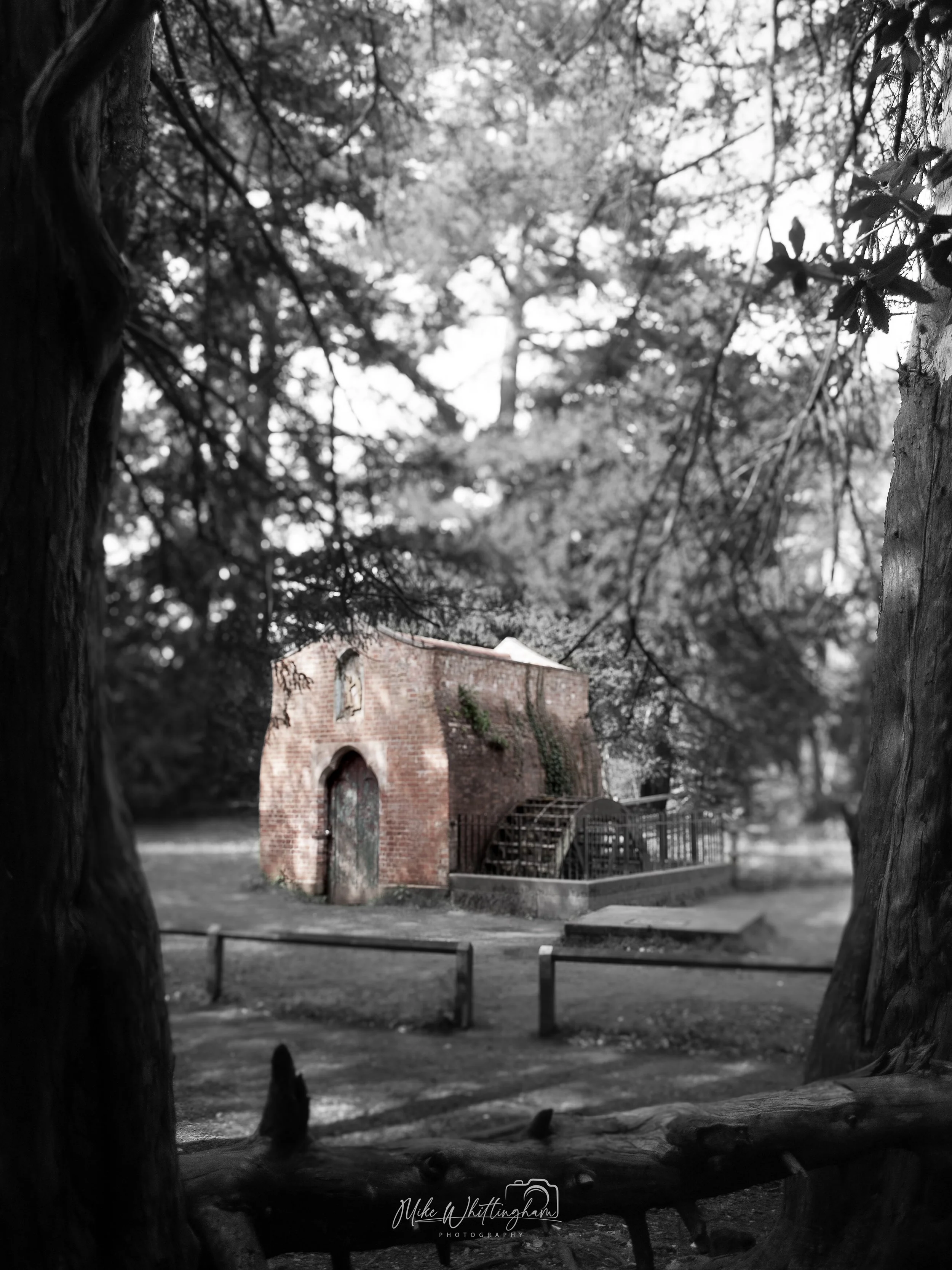 DSC_0136.jpg