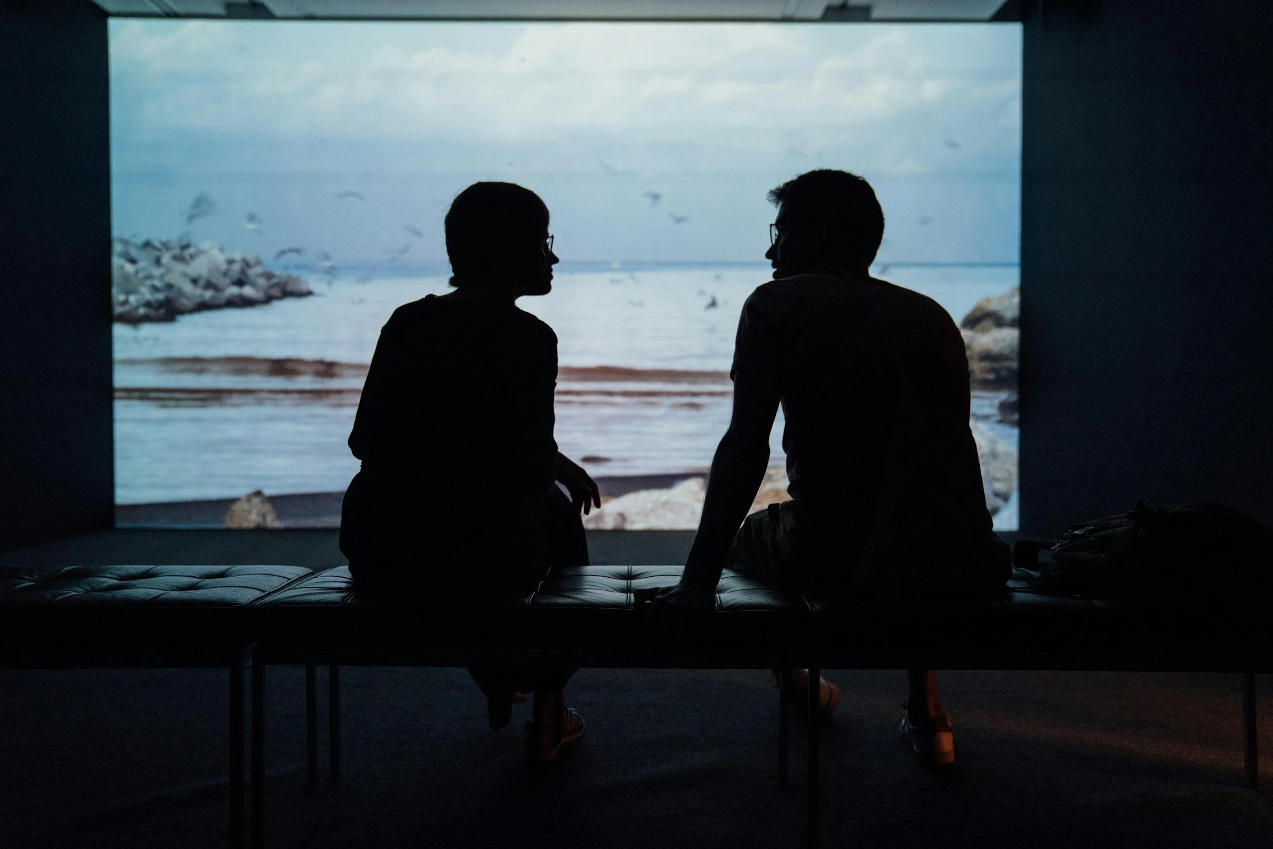 Silhouettes of two people sitting and talking in front of a large screen showing a beach scene with the ocean, rocks, and birds.