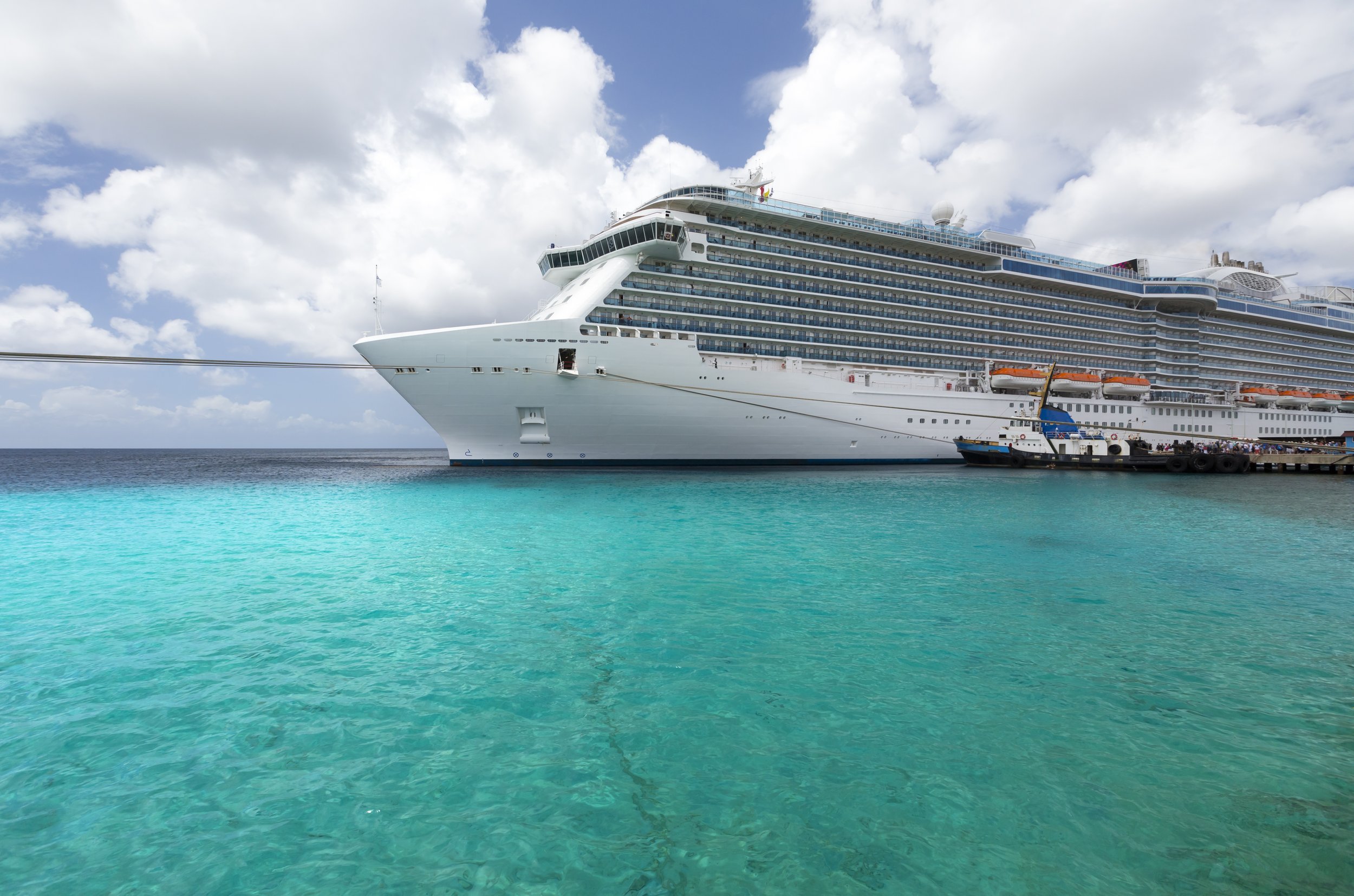 Cruise Planning Support (Additional Fee)