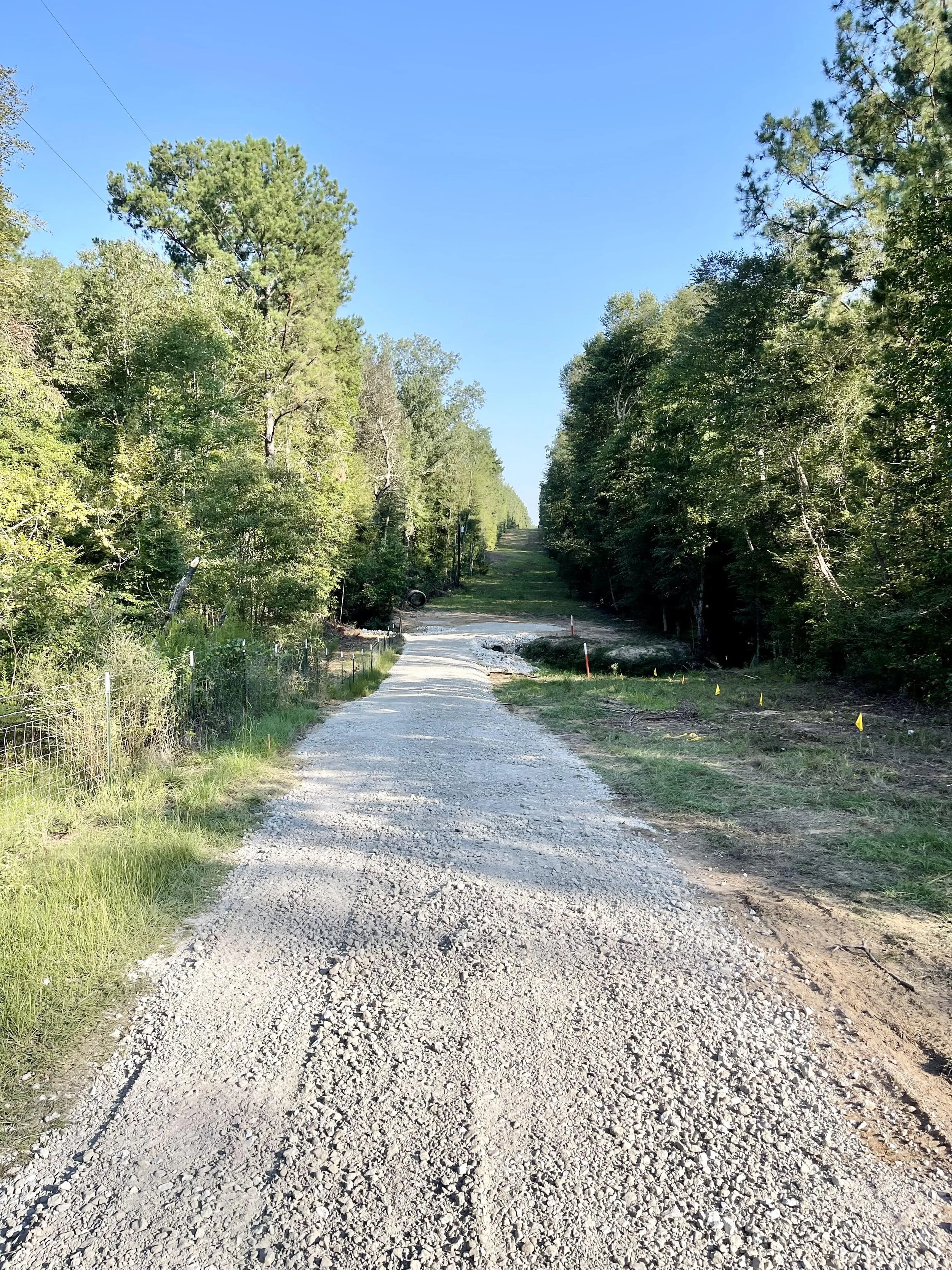 A newly installed gravel road with green trees on both sides, leading uphill under a clear blue sky.