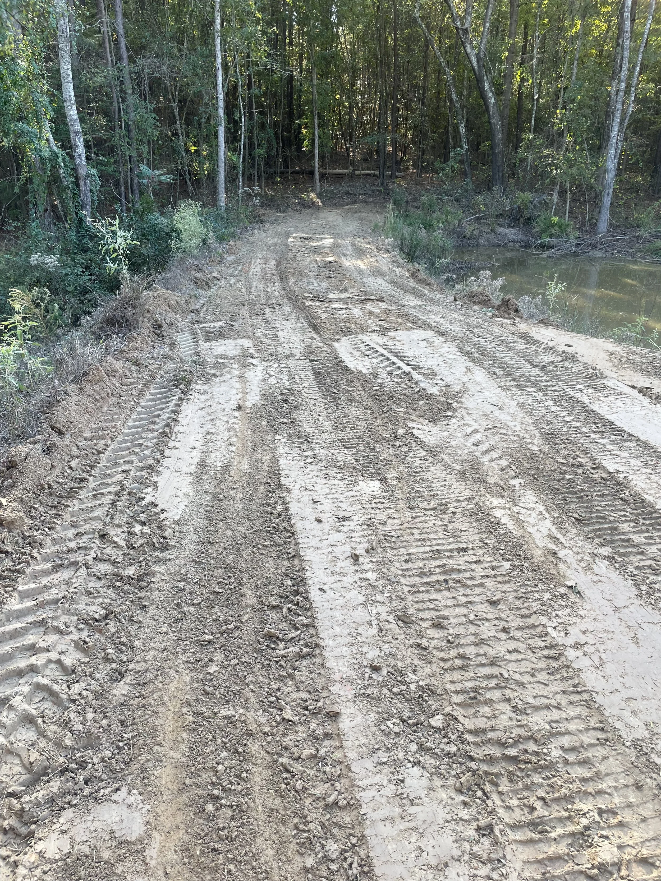 Dirt road in a wooded area with tire tracks and a body of water on the side.