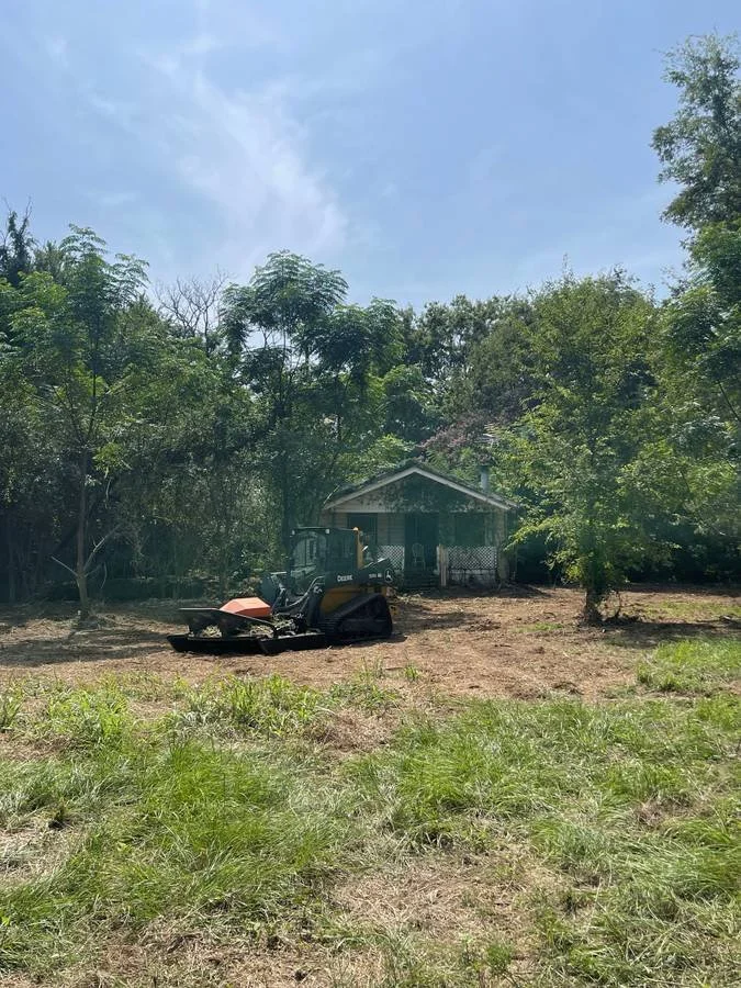 A small house surrounded by trees under a clear blue sky, with under brush freshly cleared.