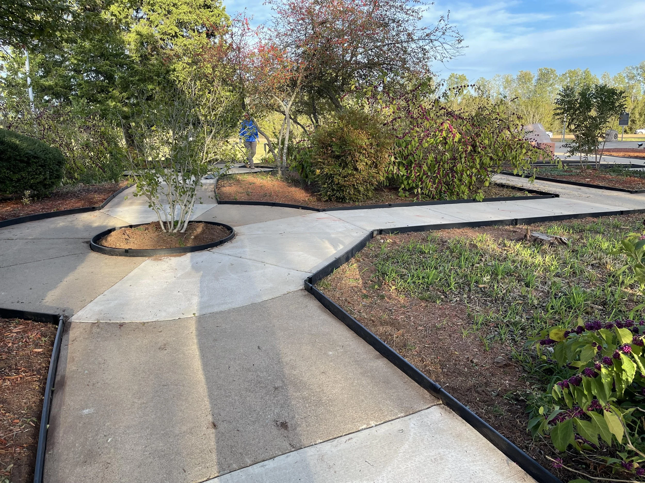 Commercial grade edging installed around several landscaped areas 