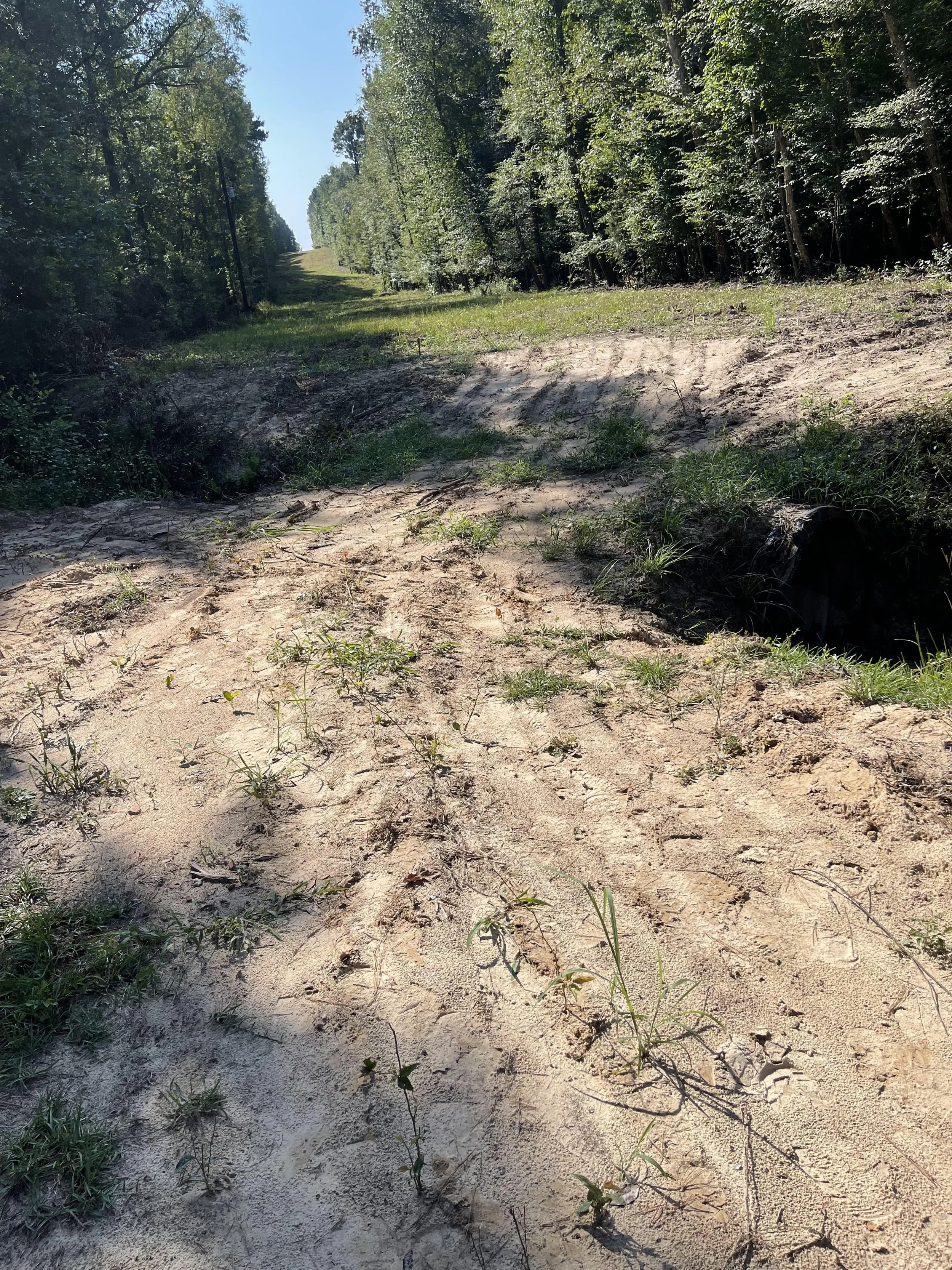 A dirt pathway in a wooded area with a grassy incline downhill on one side and a forest on the other, under a clear blue sky.