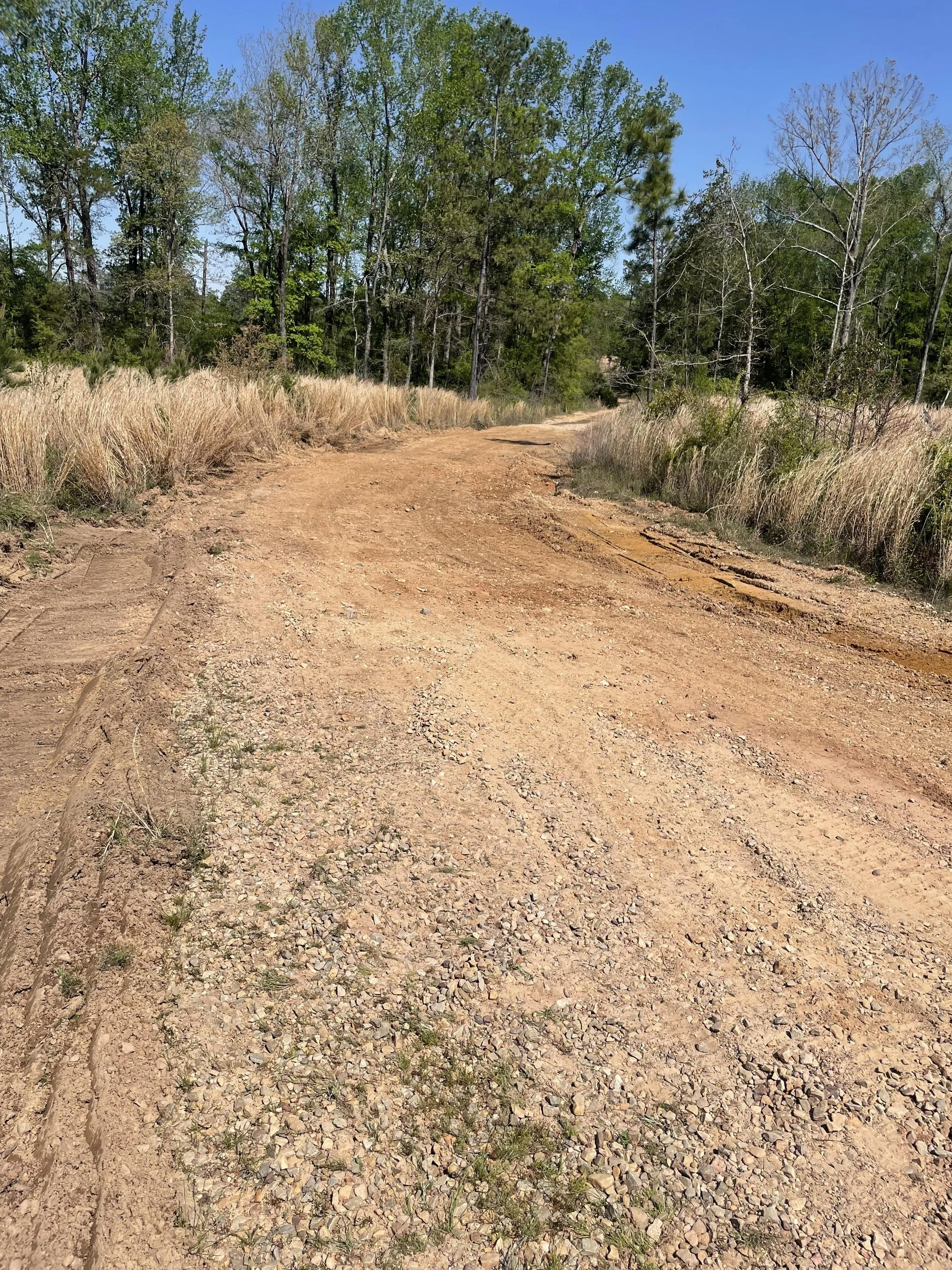 Dirt access road winding through a rural landscape with grass and trees on both sides under a clear blue sky.