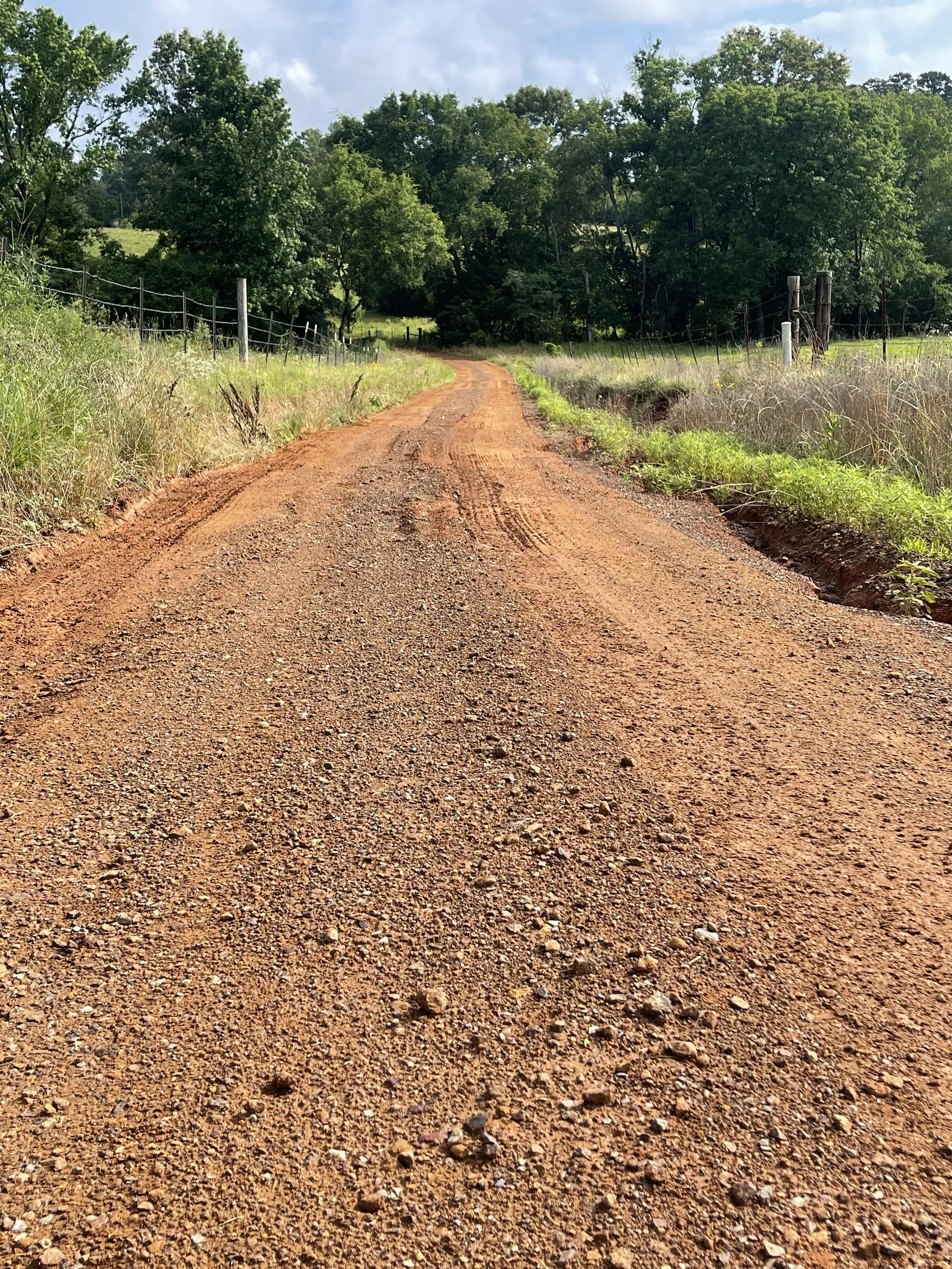 A dirt road winding through a green rural landscape with trees and grass on either side, under a partly cloudy sky.