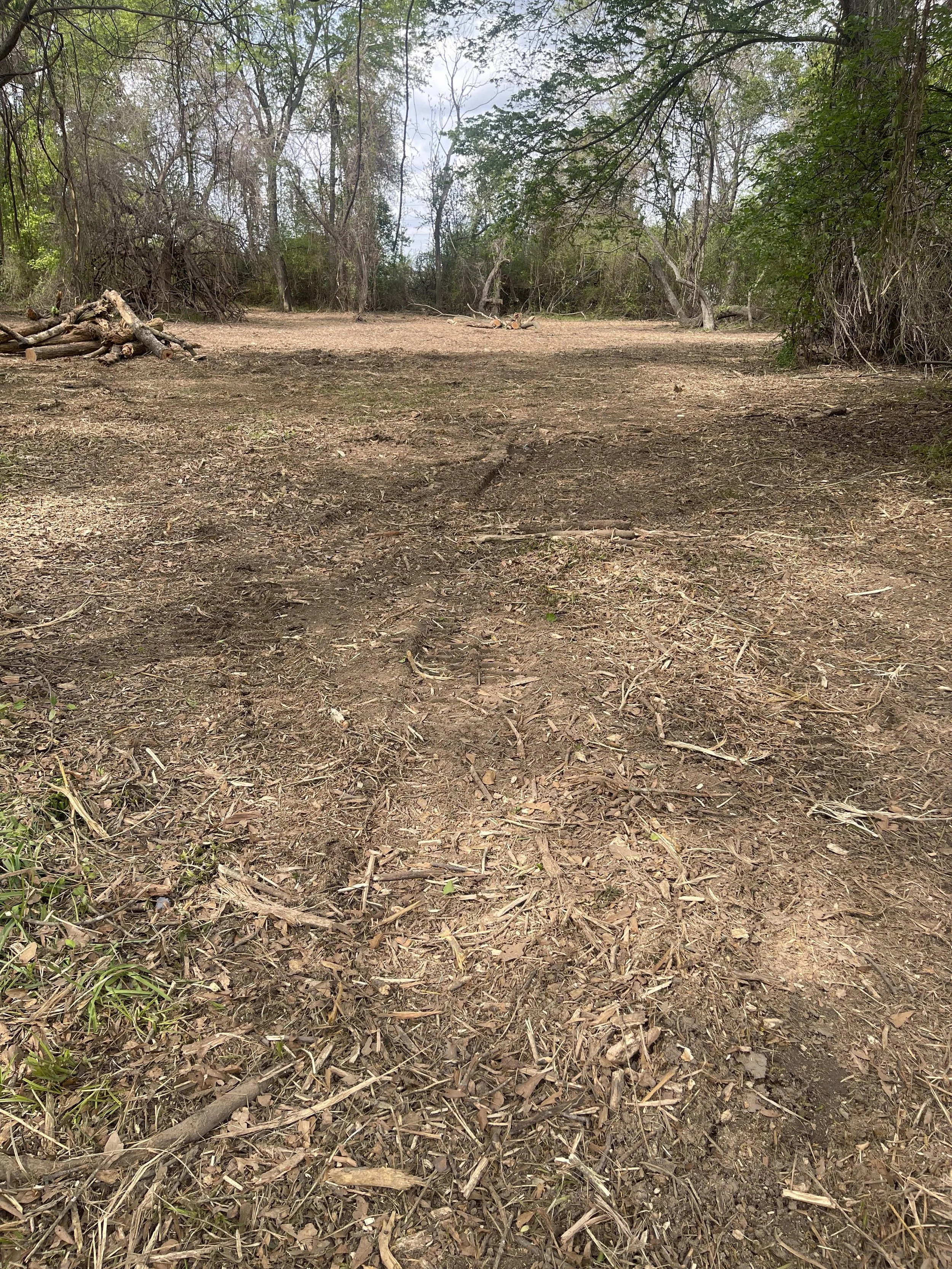 Mulching a lot in Nash, Tx