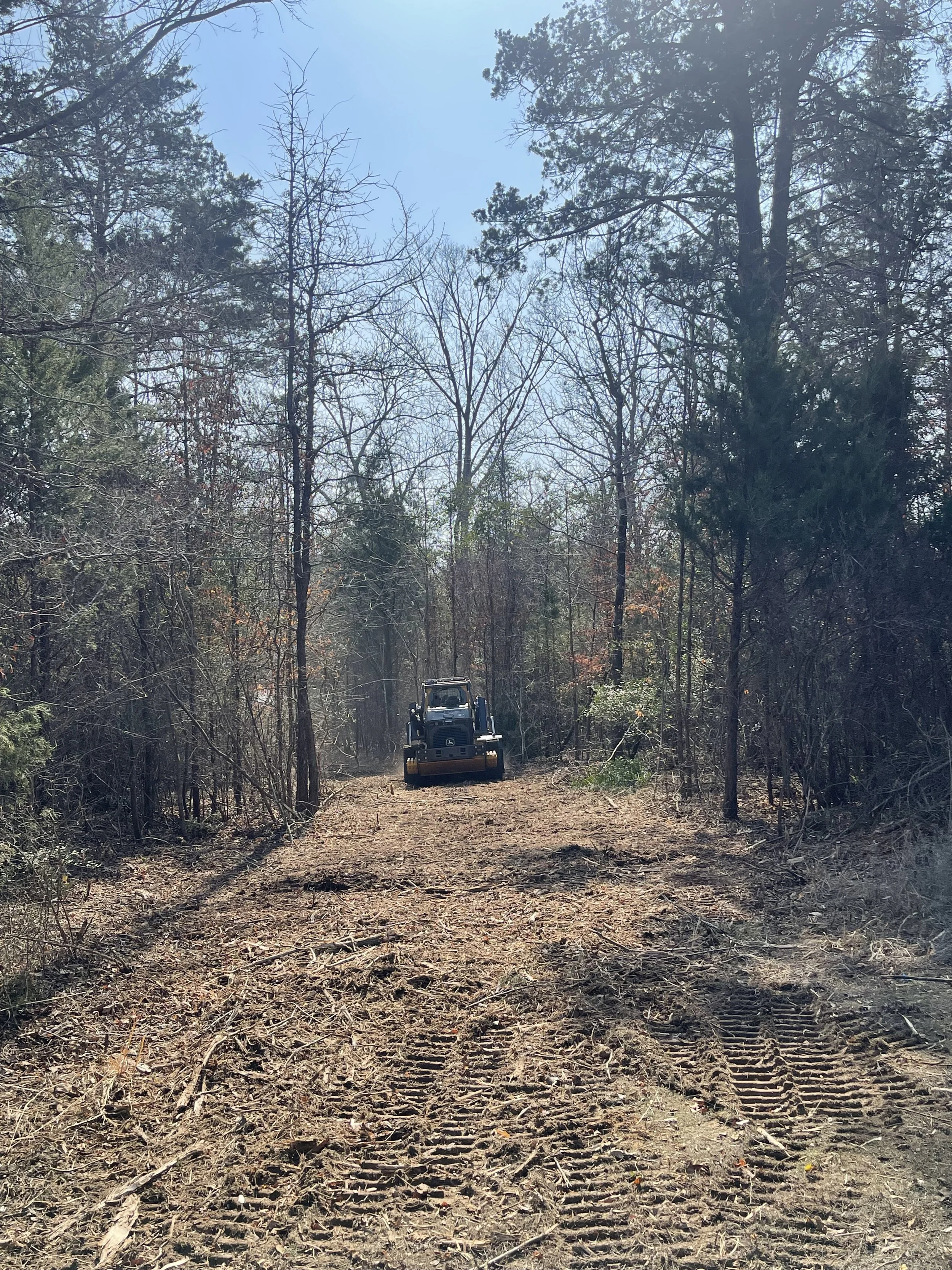 Track loader is clearing a trail through a densely wooded area. This is called mulching.
