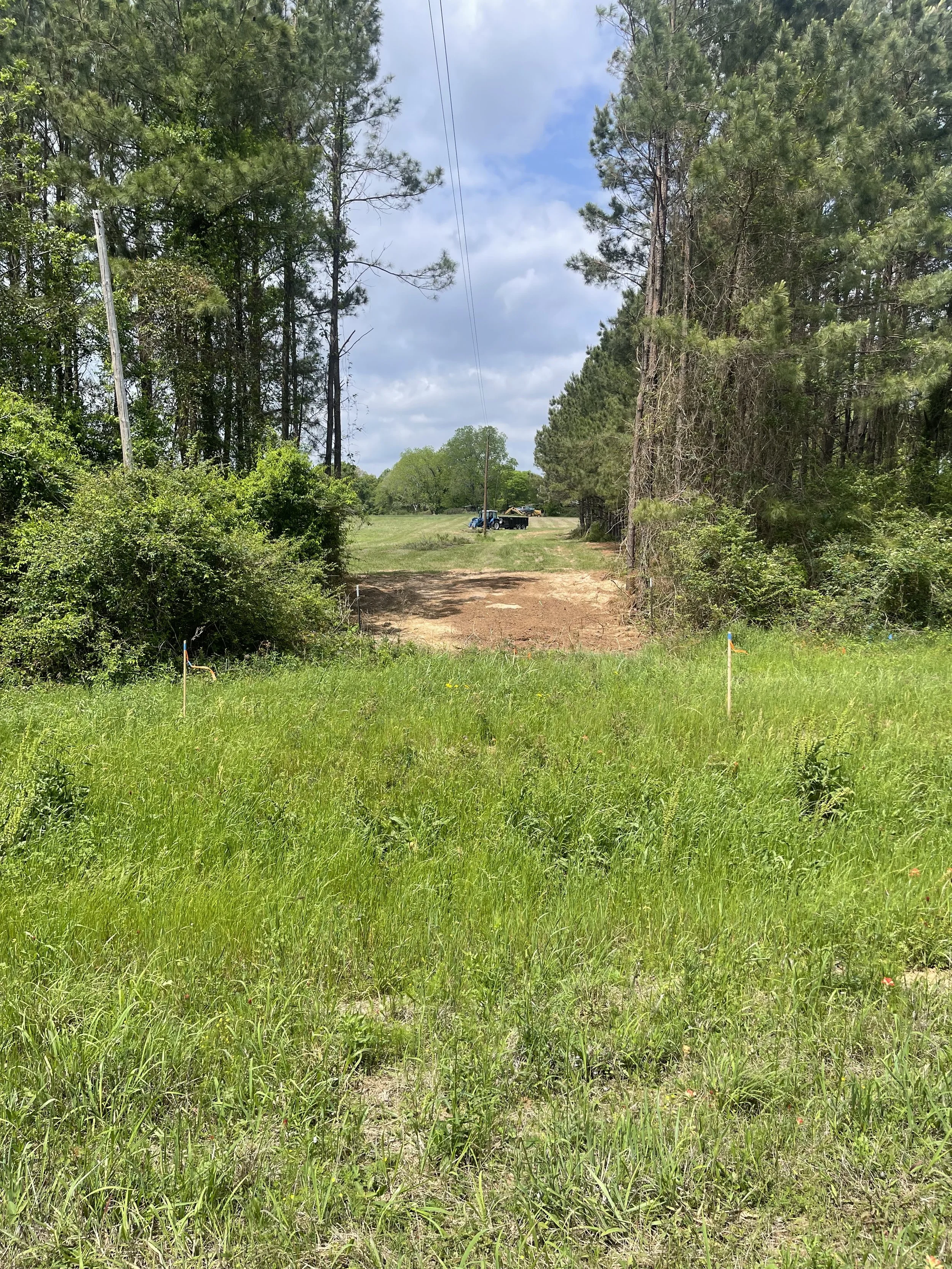 douglassvilledrivewaybefore.jpeg