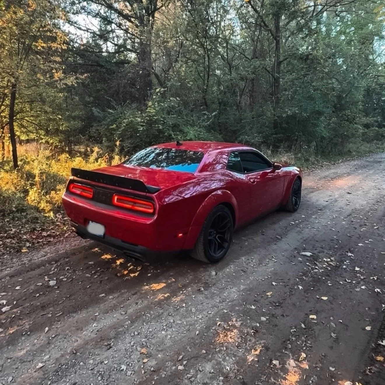 A red sports car parked on a dirt road surrounded by trees and foliage in a forested area.