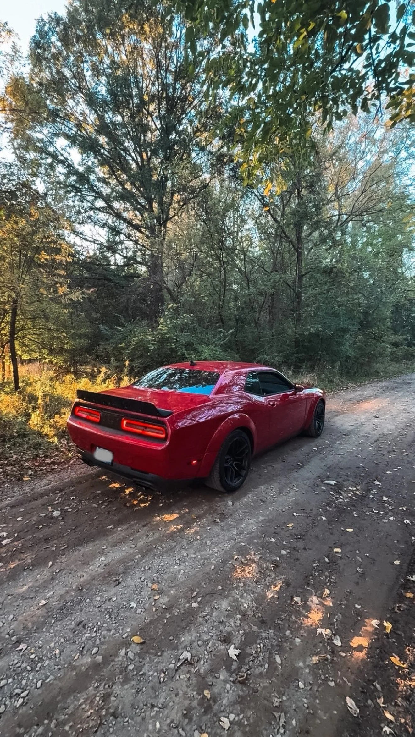 A red sports car parked on a dirt road surrounded by trees with green and yellow leaves.