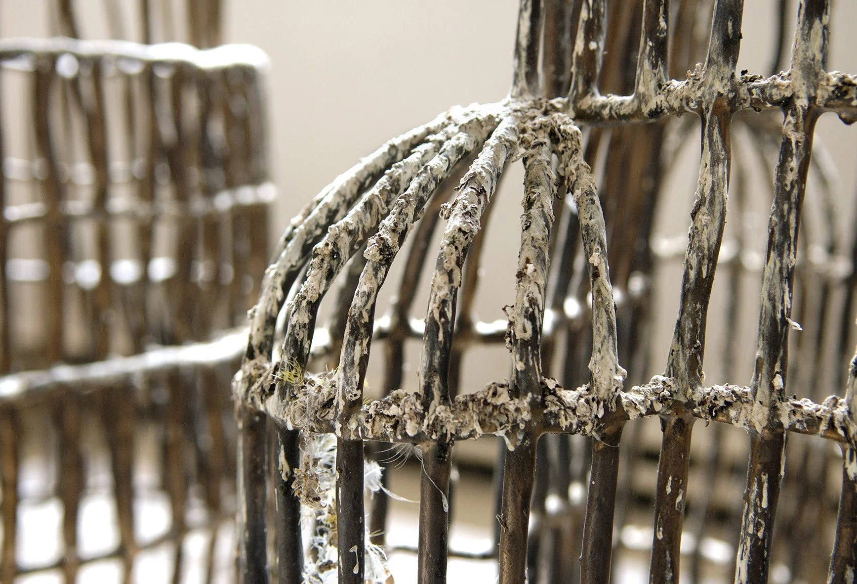 Cages, 2004, ceramic, glaze, bird droppings (image Griet Dekoninck)