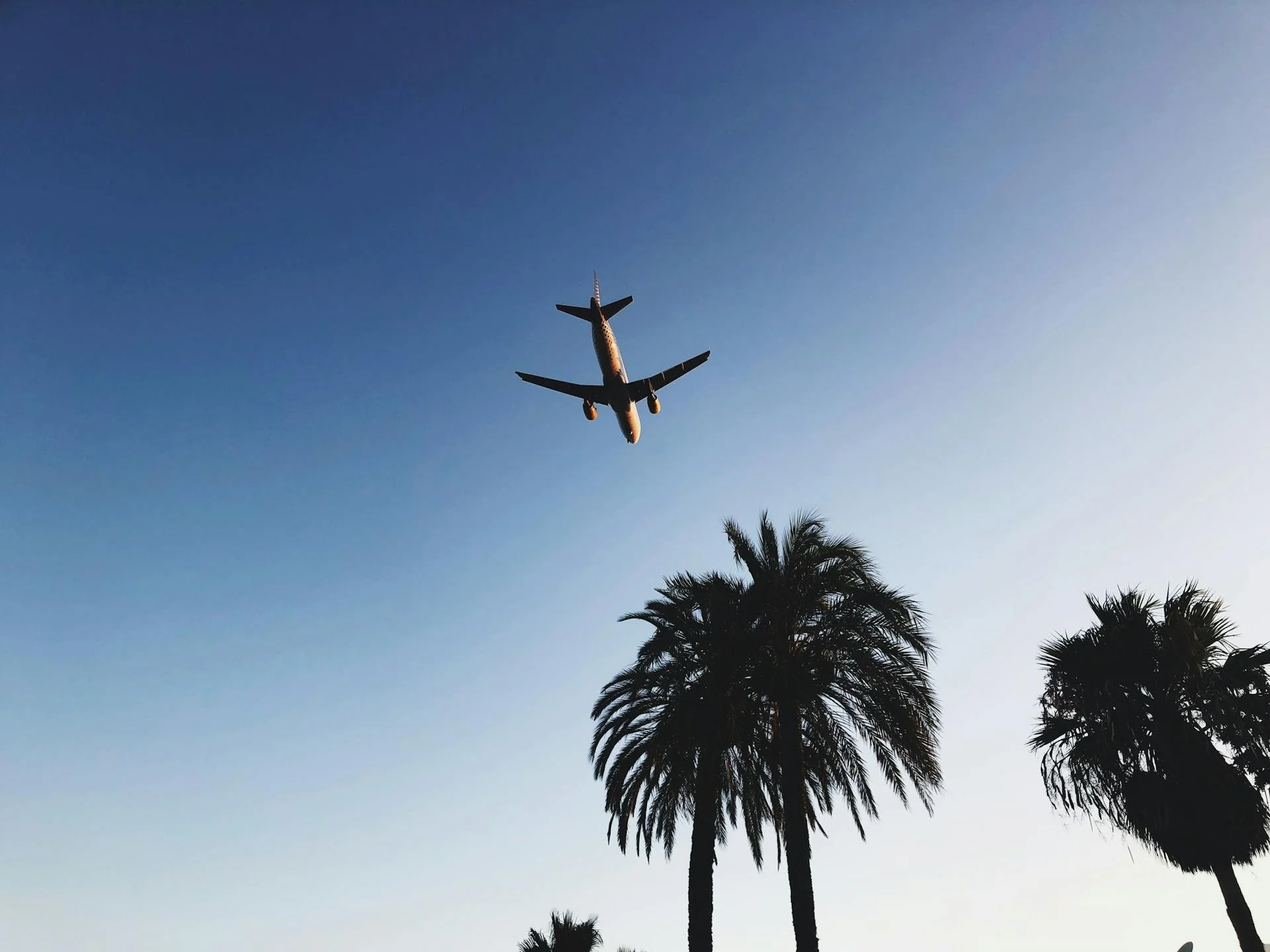 How to Get from Faro Airport to the Algarve Countryside