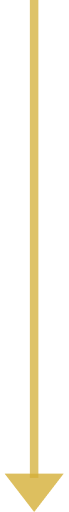 Yellow vertical ruler or measuring stick with black markings and an arrow pointing down at the bottom.