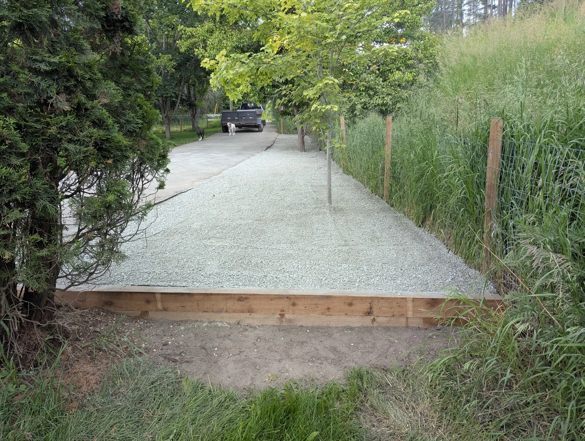 A gravel pathway with a wooden border, bordered by grass and trees on both sides, leading to a parked truck with two dogs nearby. A fence runs along the right side of the path, and there are trees with green leaves along the left side.