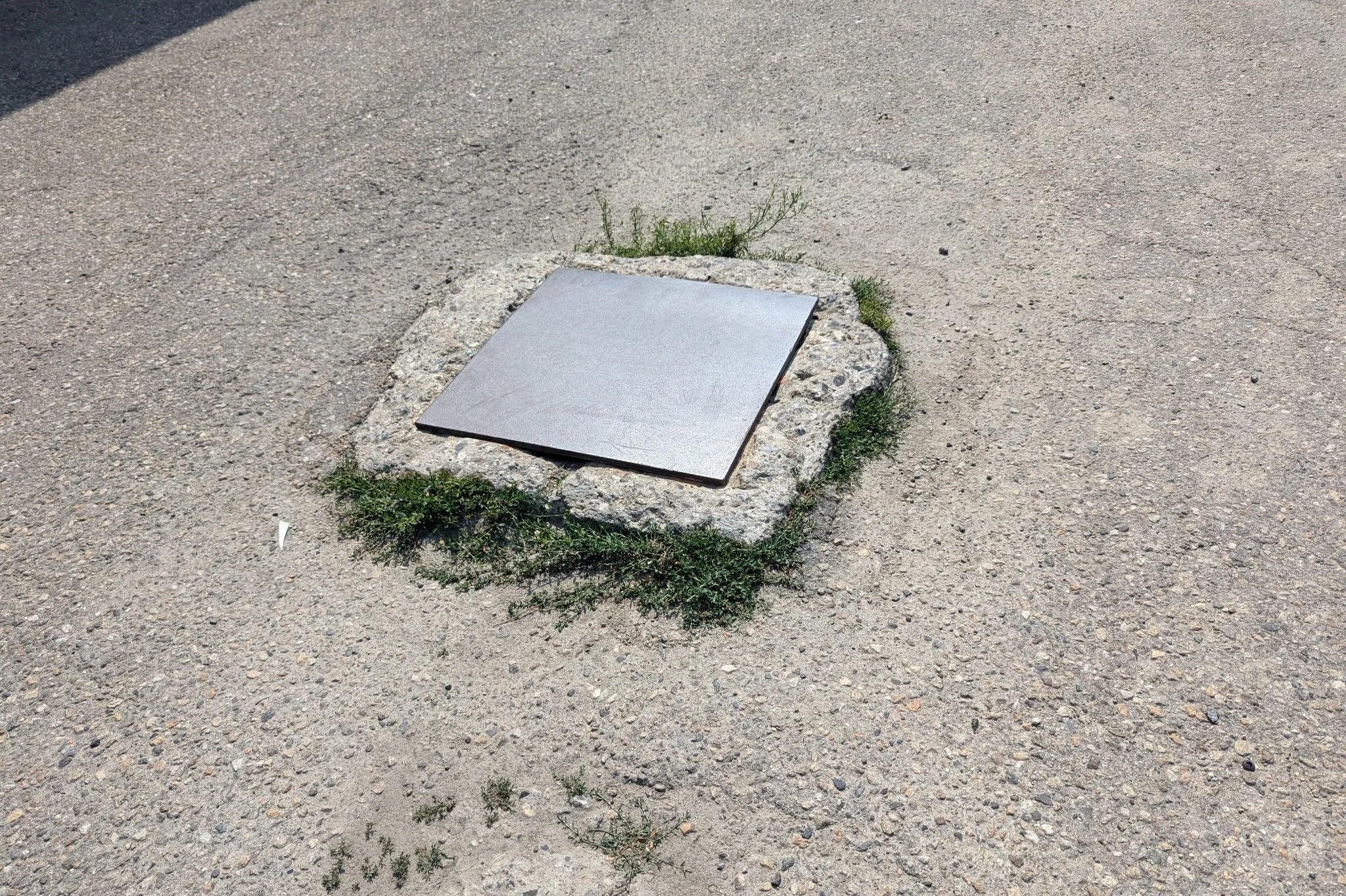 Metal cover on a concrete base surrounded by weeds on asphalt ground.