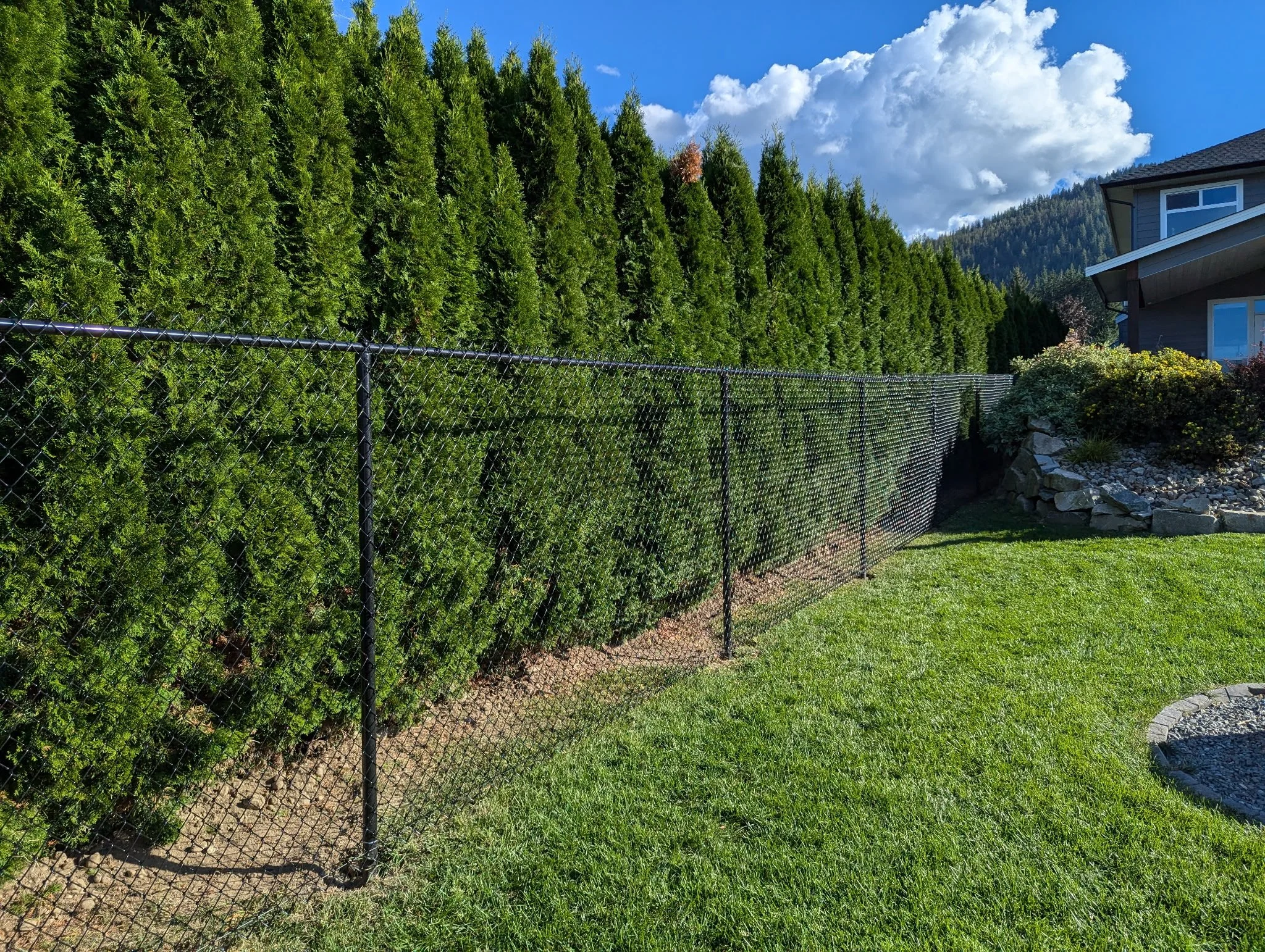 Black chain-link fence running alongside a row of tall green trees with a house and mountains in the background on a sunny day with blue sky and clouds.