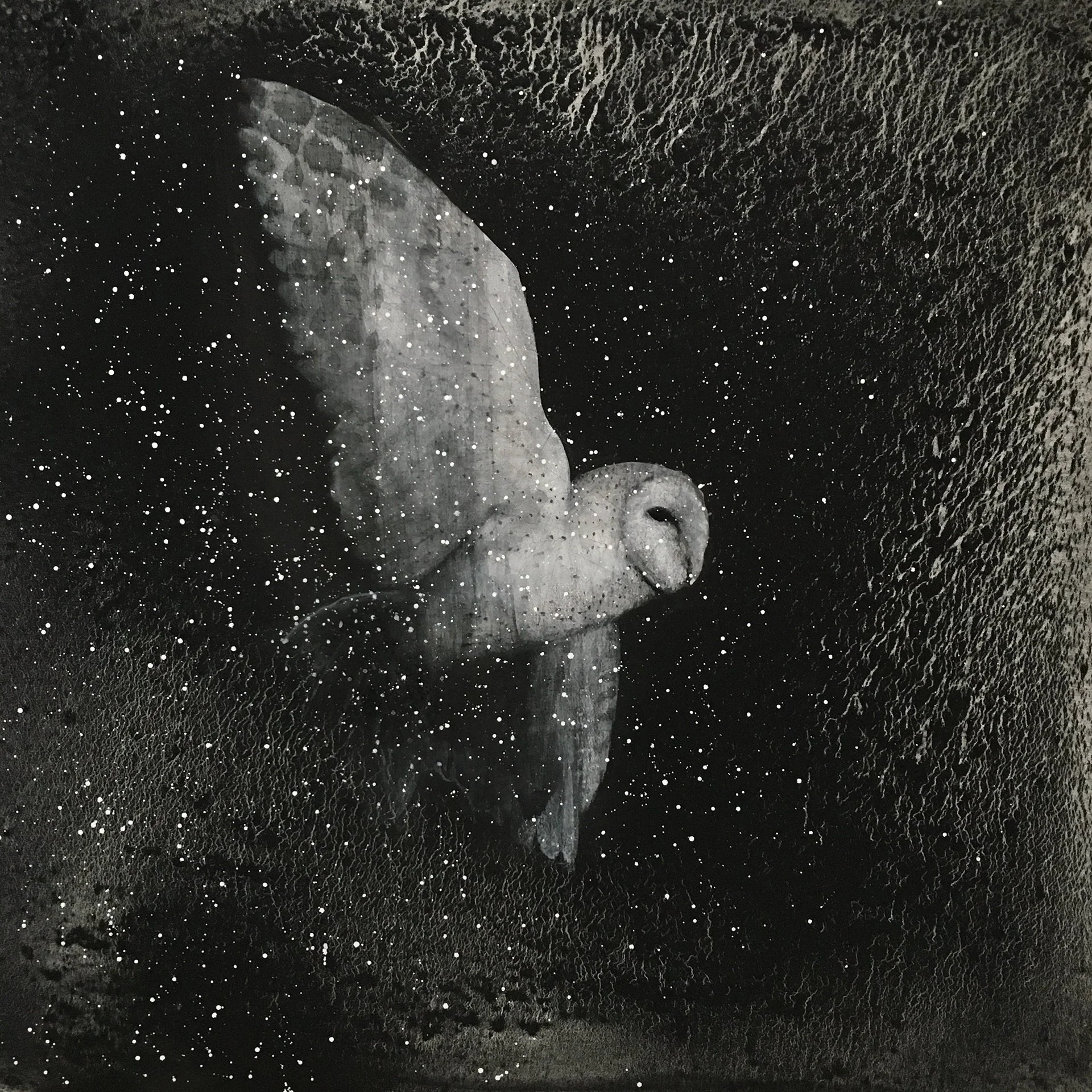 Night Flight	- 2021	Charcoal, Gesso and Graphite on Canvas	36x36  