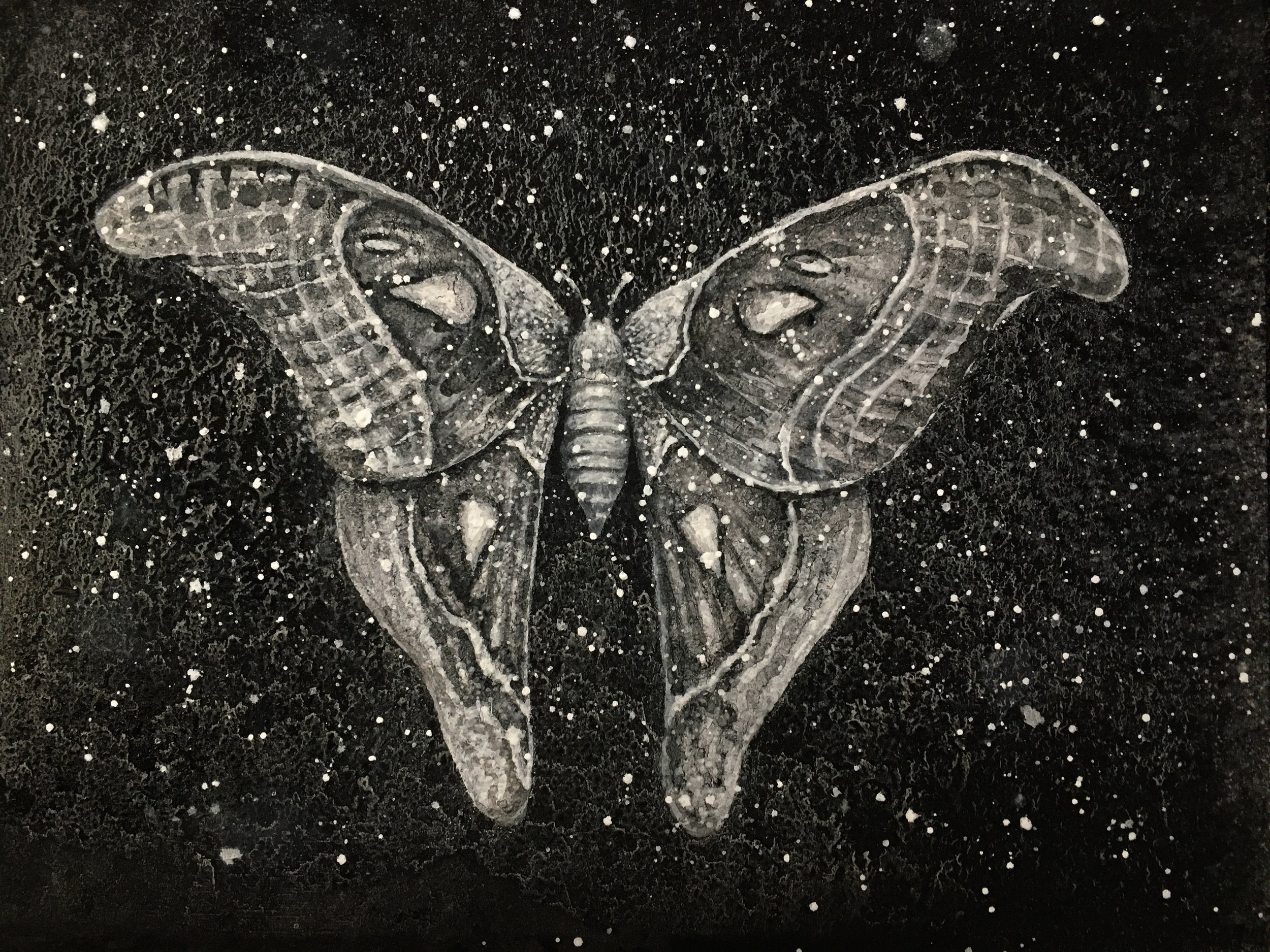 A detailed, monochromatic illustration of a butterfly with intricate patterns on its wings, set against a starry background.