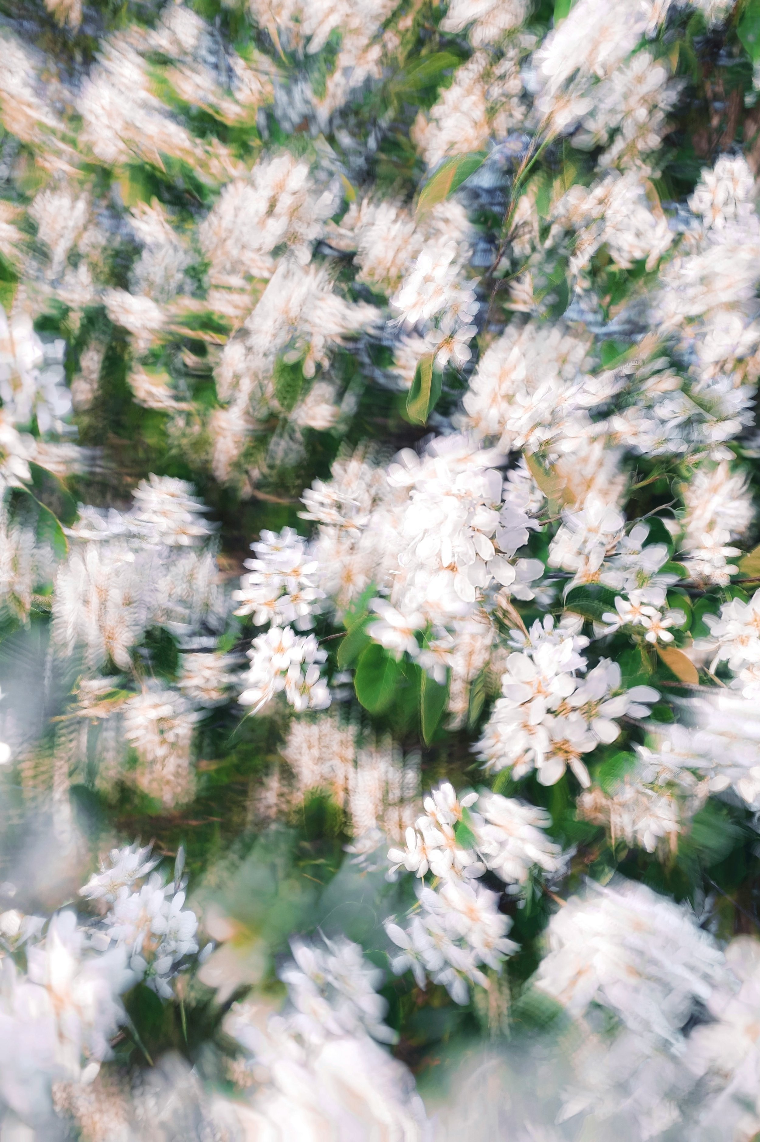 eugene-golovesov-l18AxbeTOhg-unsplash.jpg
