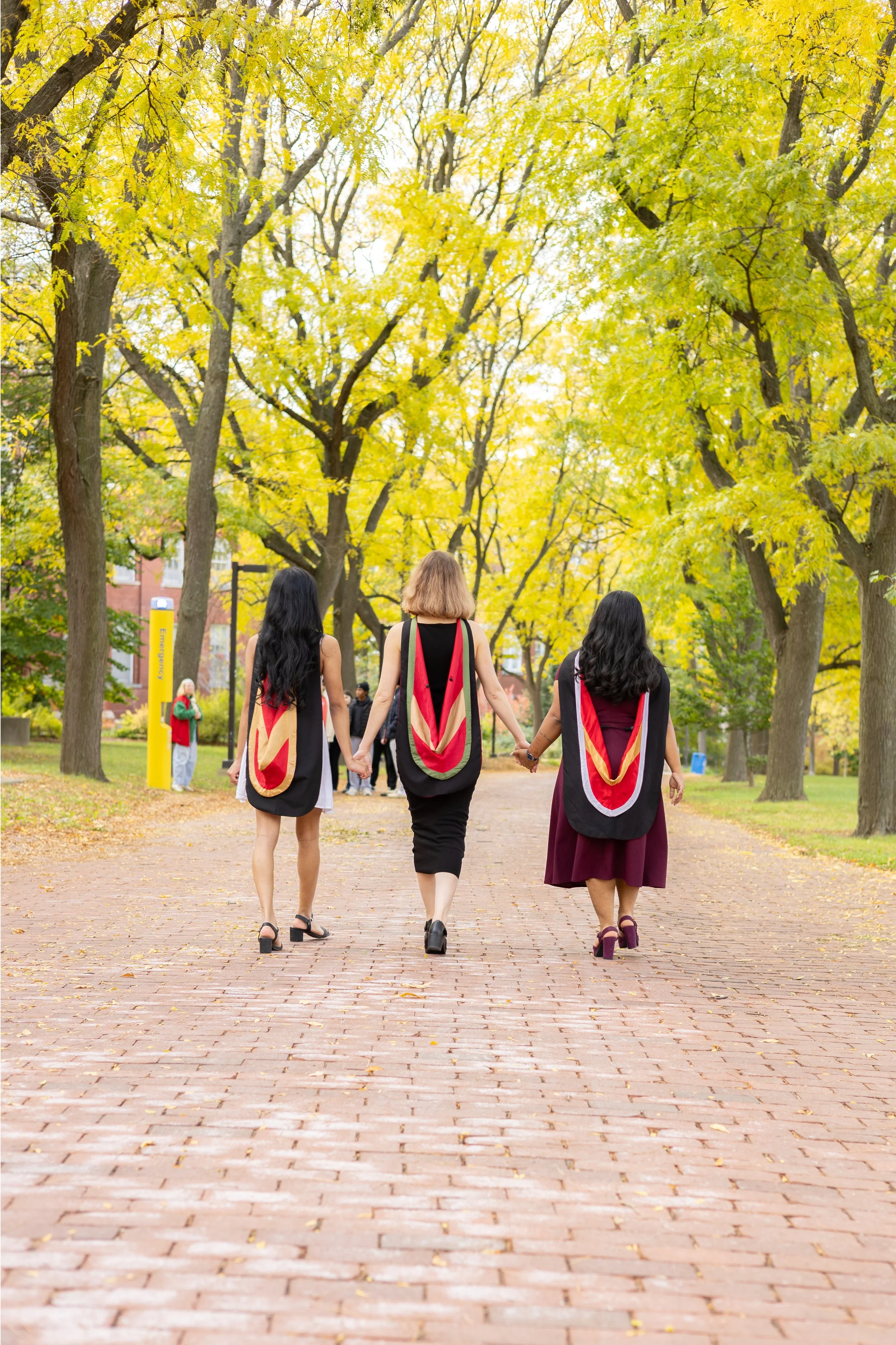 Three graduates in caps and gowns walking hand-in-hand on a brick pathway in a park with yellow fall foliage.
