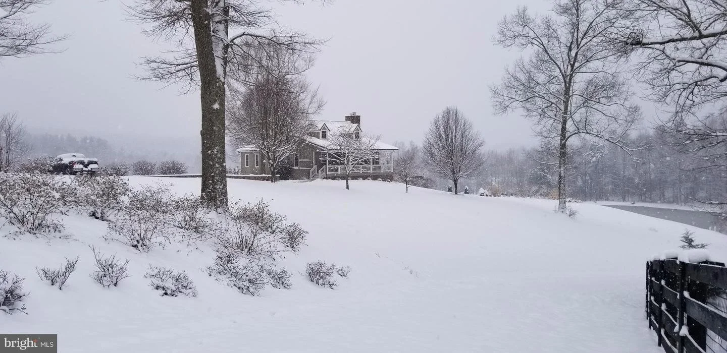 Winter scene-Laurel Hill copy.jpeg