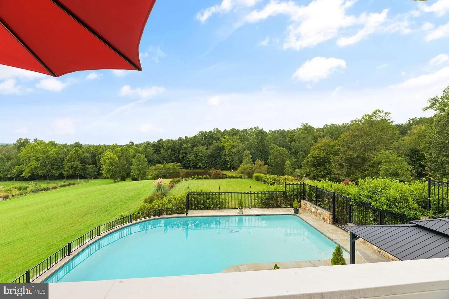 Pool & Lawn-Laurel Hill copy.jpeg