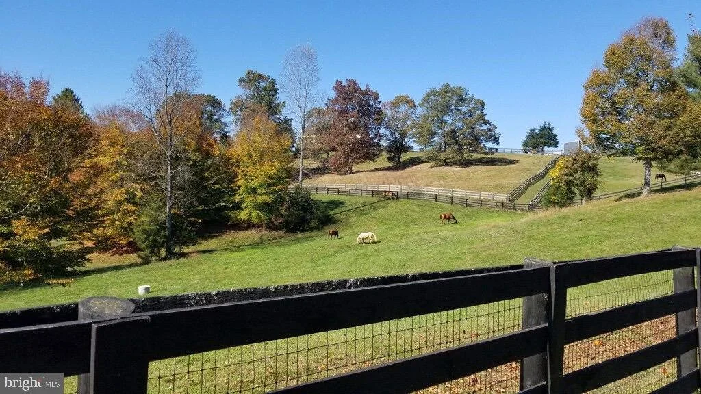 Land Fencing-Laurel Hill copy.jpeg