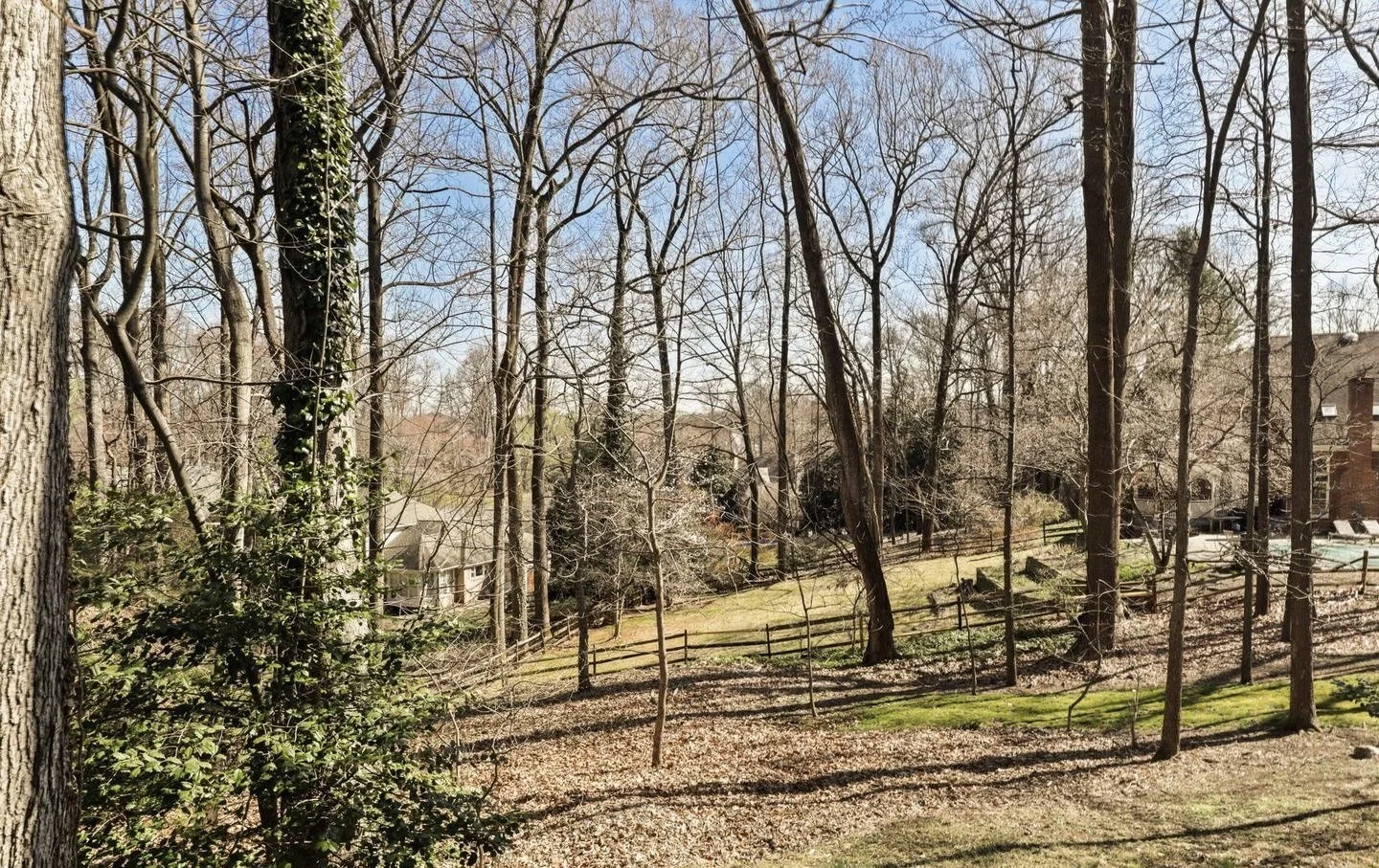 Back yard2 1105 Flor.jpeg